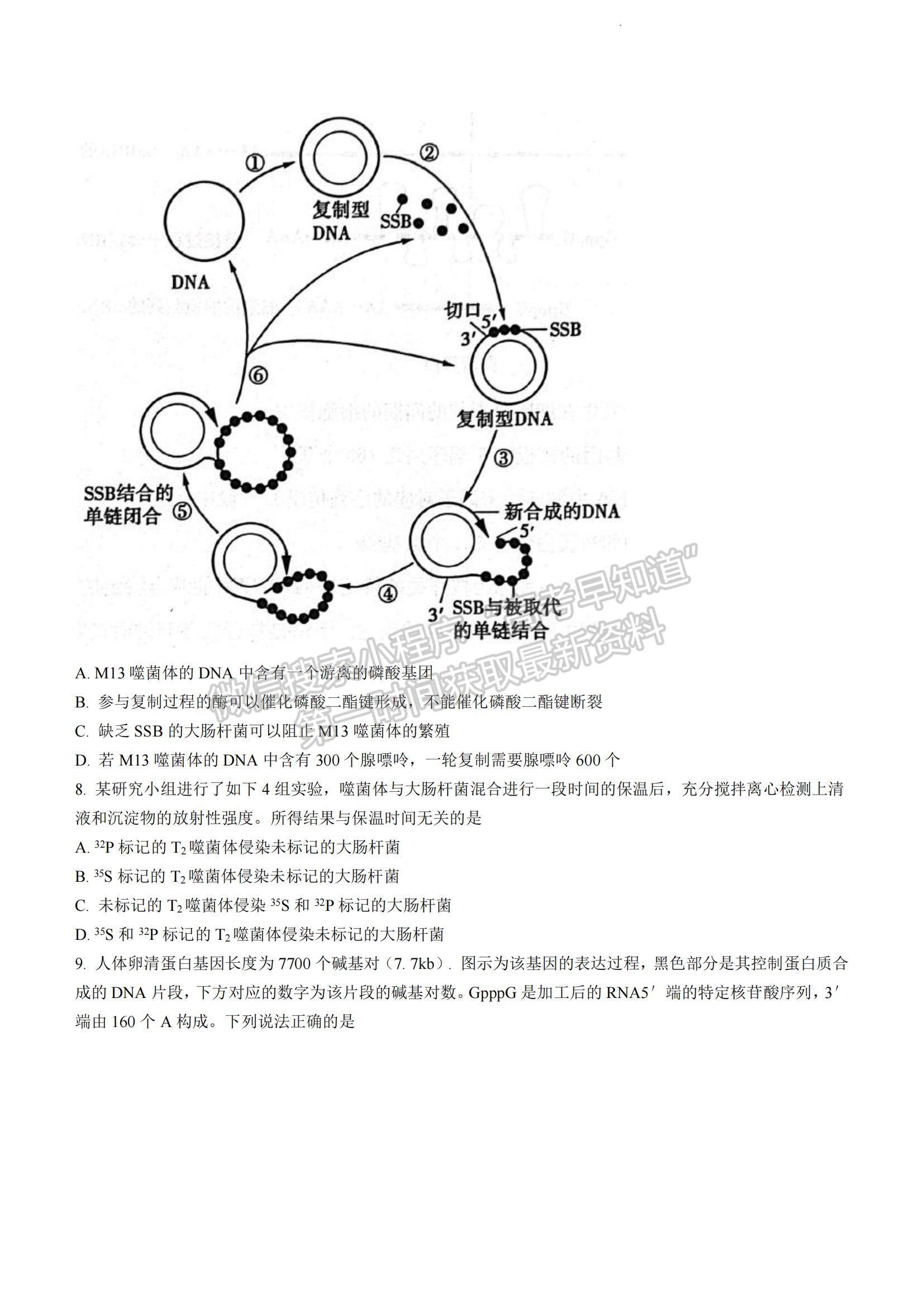 2023山東省濱州市高一下學(xué)期期末考試生物試題及參考答案