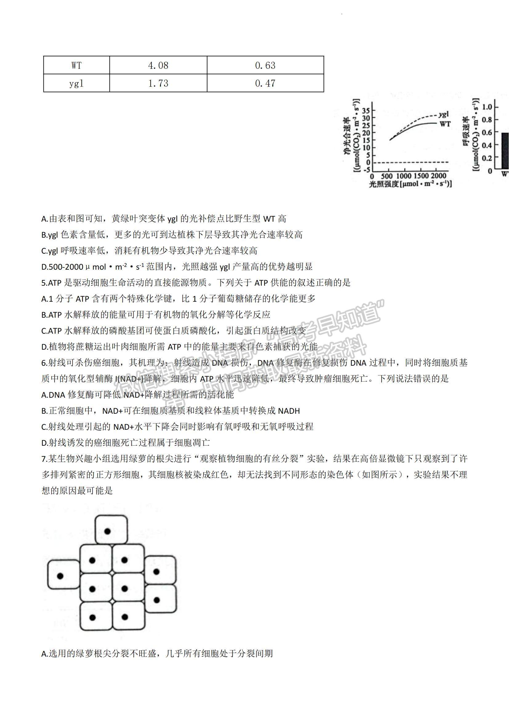 2023山東省濱州市高二下學(xué)期期末考試生物試題及參考答案