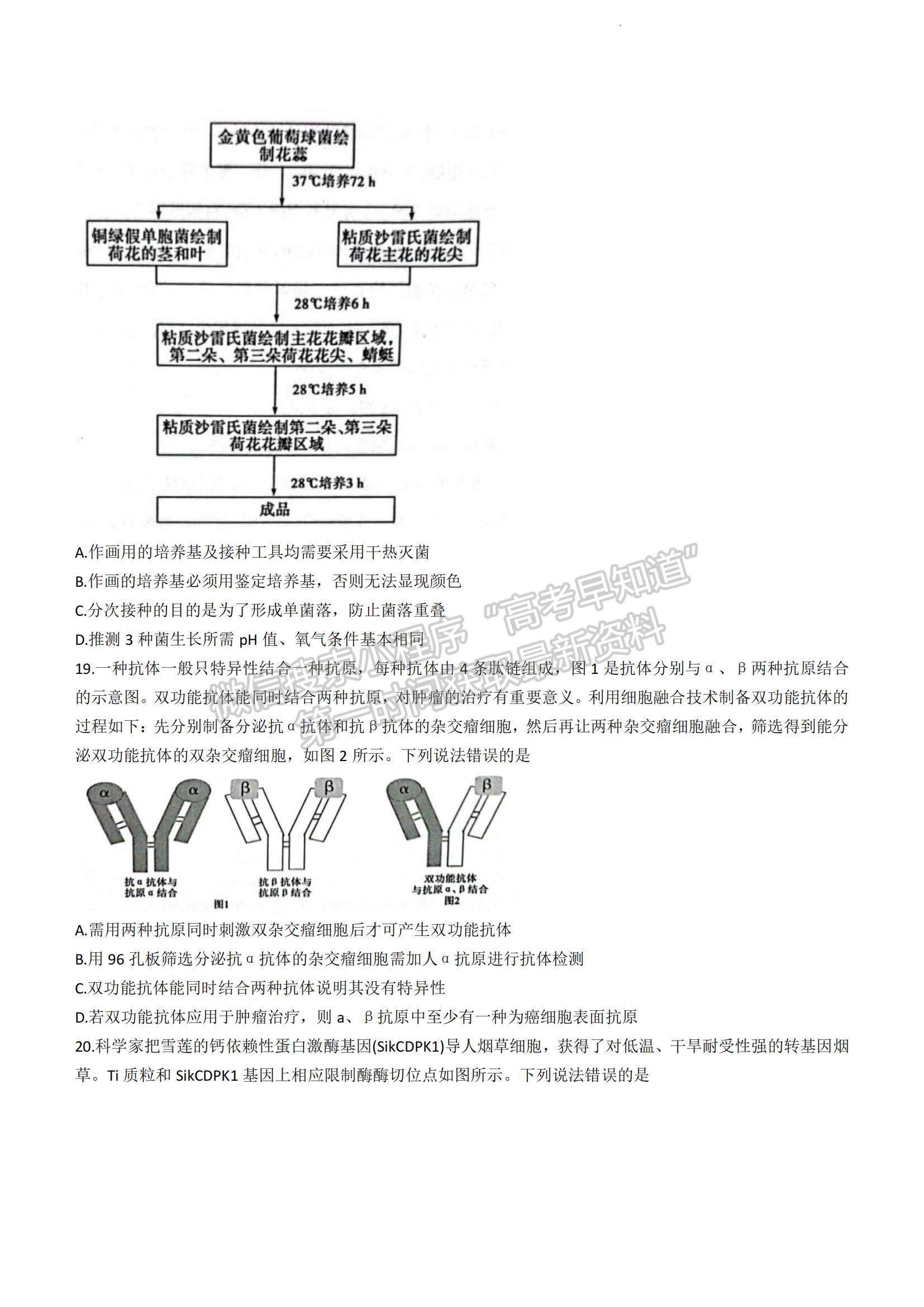 2023山東省濱州市高二下學(xué)期期末考試生物試題及參考答案