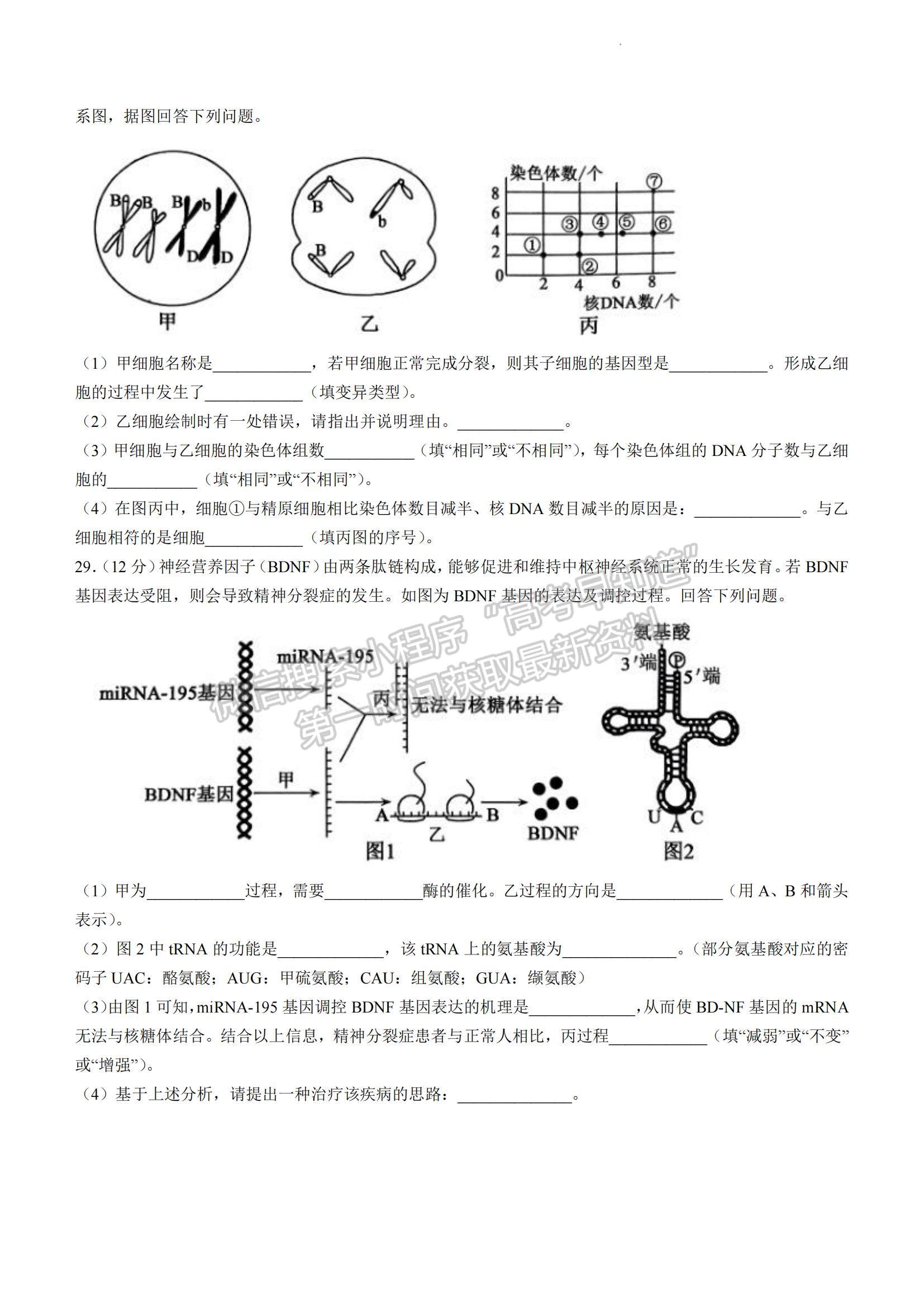 2023山東省濟(jì)寧市高一下學(xué)期期末考試生物試題及參考答案