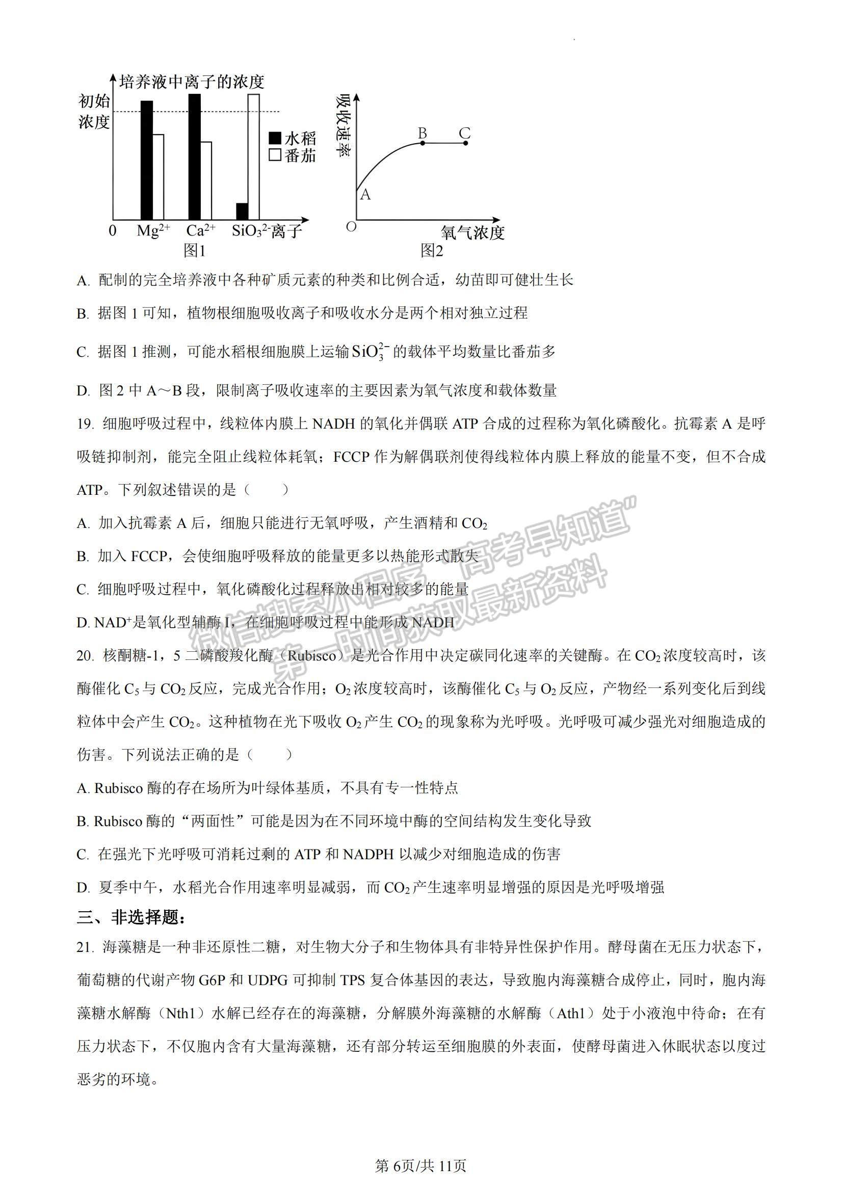 2023山東省煙臺(tái)市高二下學(xué)期期末考試生物試題及參考答案