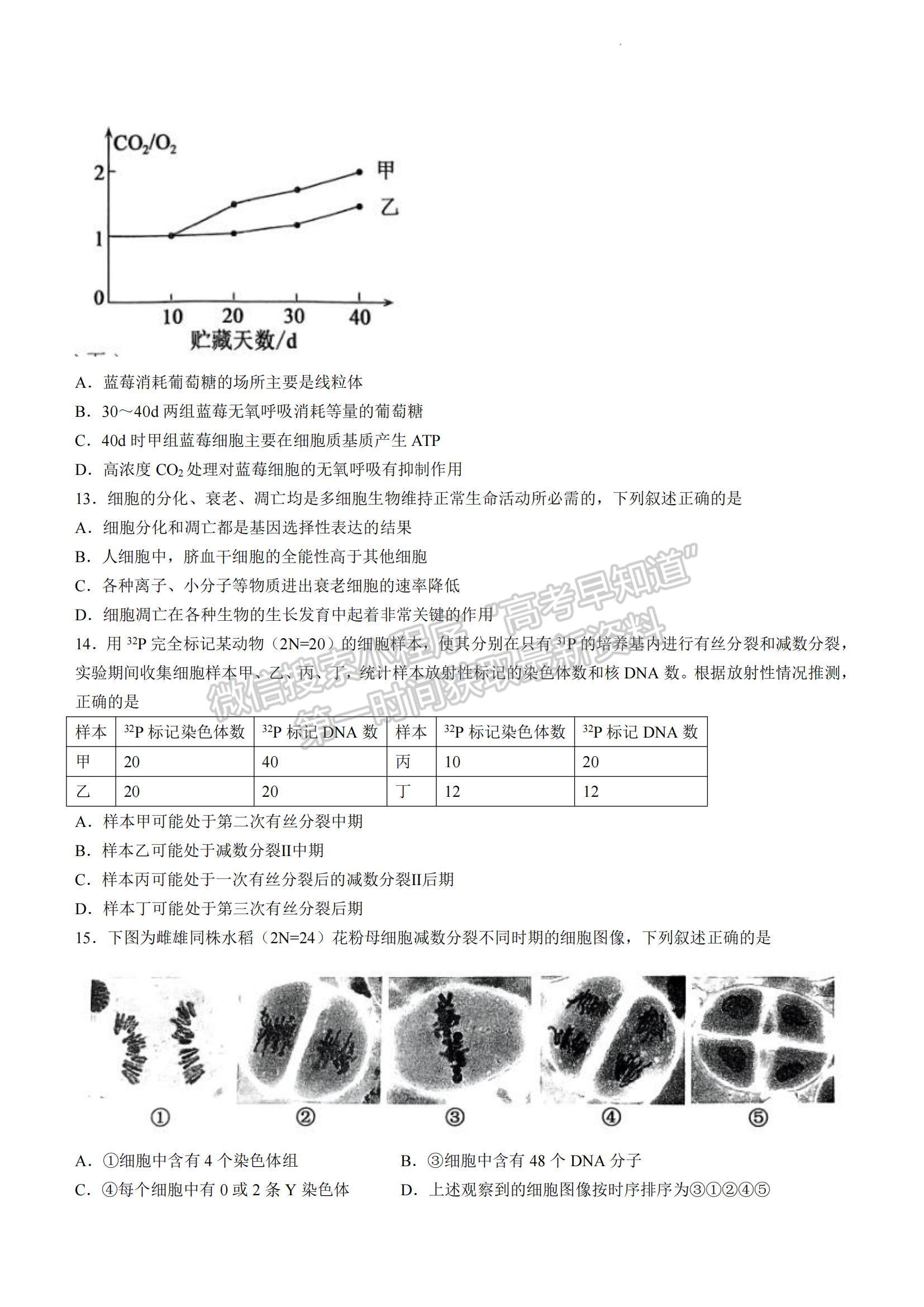 2023山東省濟(jì)寧市高一下學(xué)期期末考試生物試題及參考答案