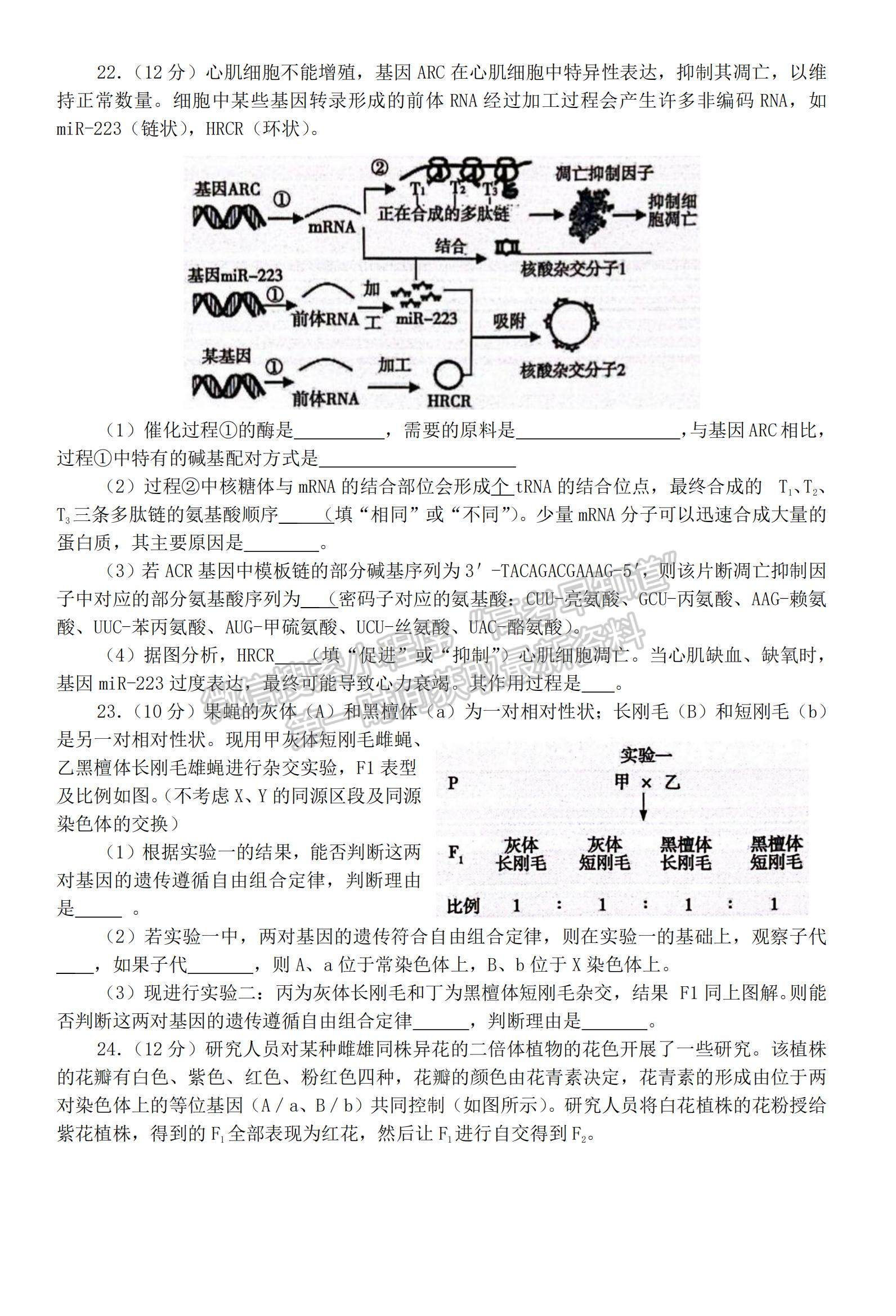 2023山東省泰安市高一下學(xué)期期末考試生物試題及參考答案