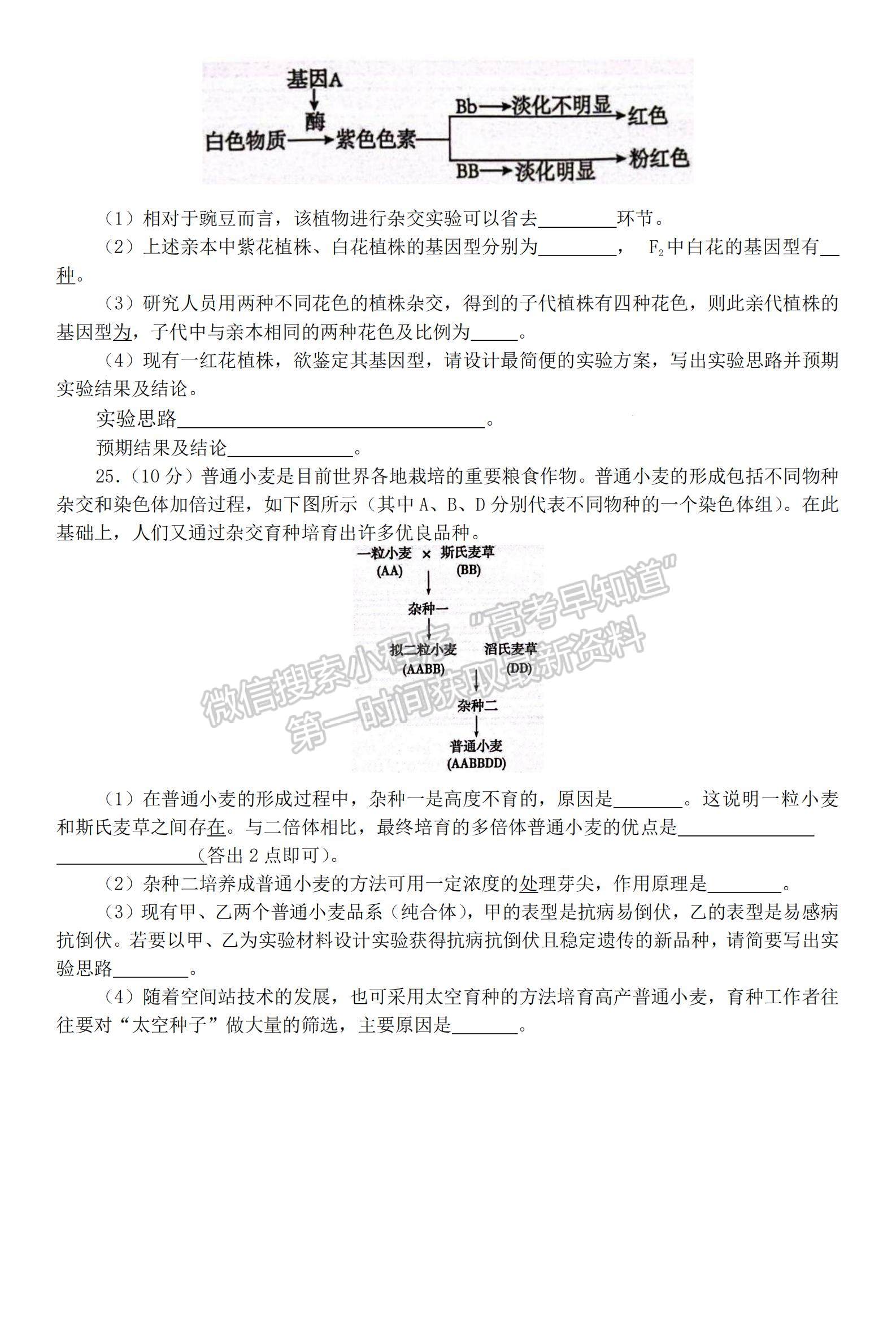 2023山東省泰安市高一下學(xué)期期末考試生物試題及參考答案