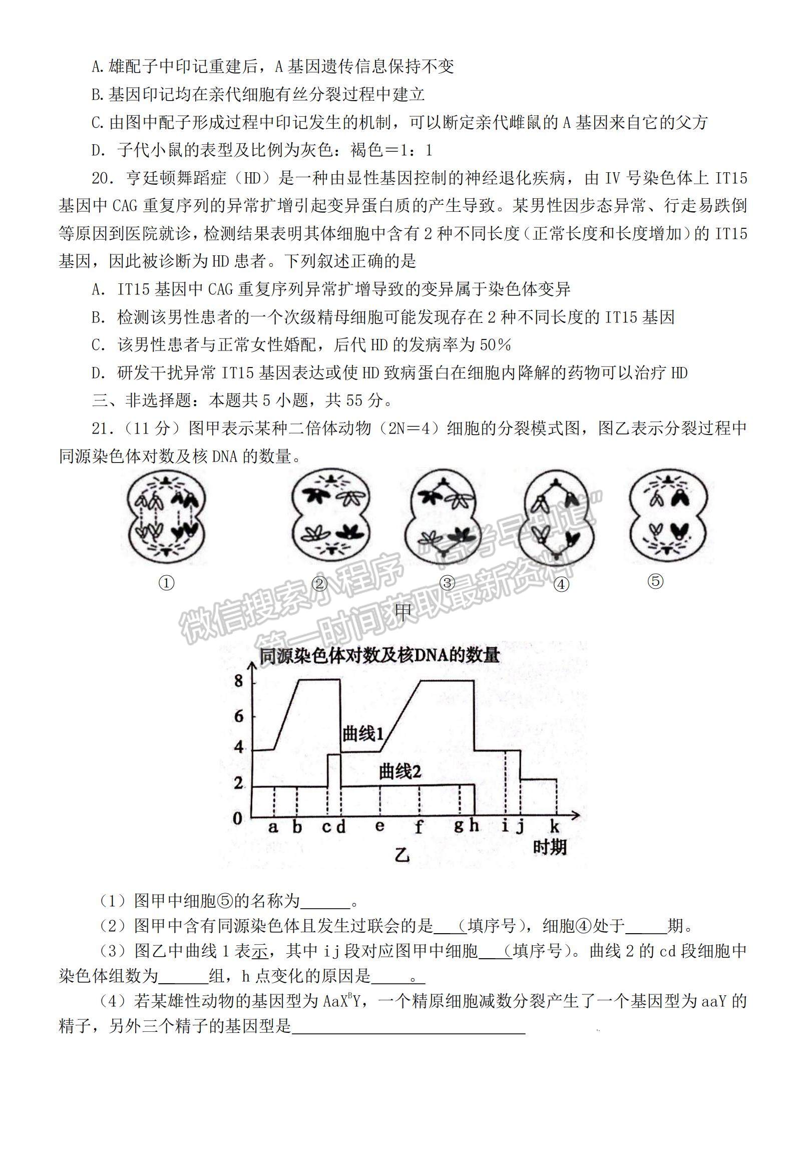 2023山東省泰安市高一下學(xué)期期末考試生物試題及參考答案