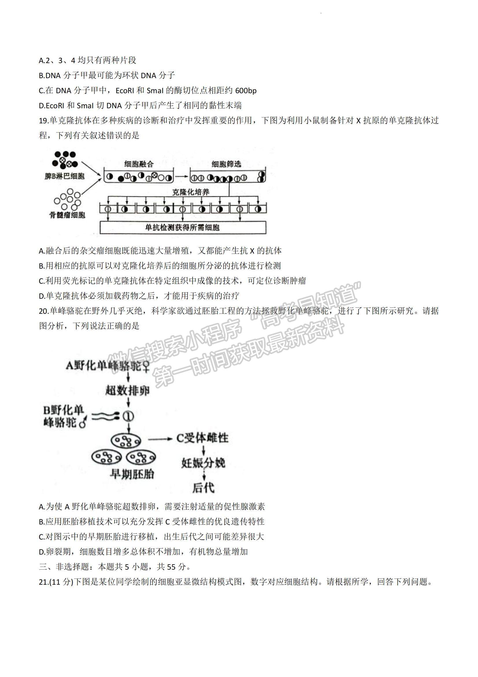 2023山東省棗莊市高二下學(xué)期期末考試生物試題及參考答案