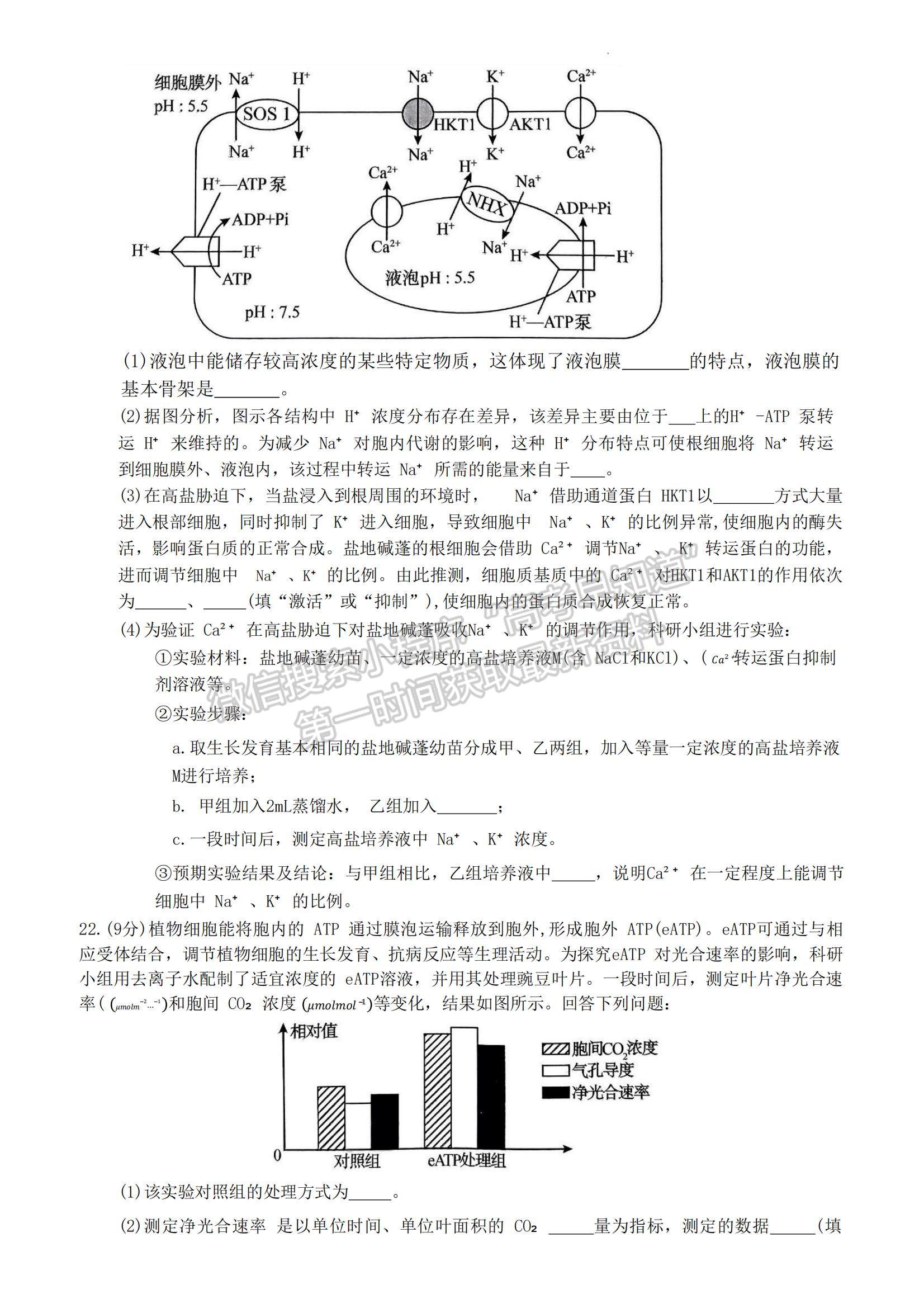 2023山東省菏澤市高二下學期期末考試生物試題及參考答案