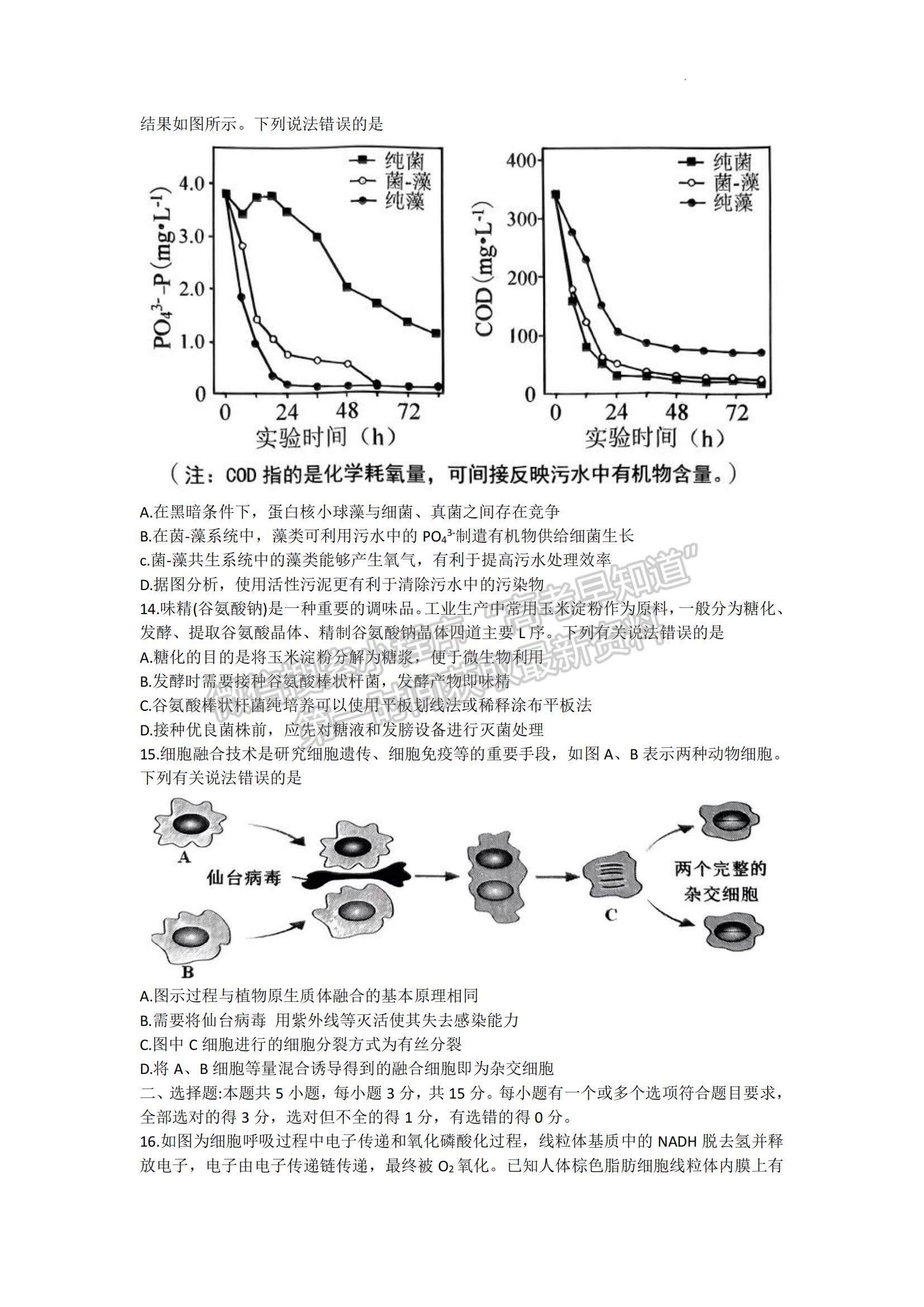 山東省青島市2022-2023學(xué)年高三上學(xué)期開學(xué)調(diào)研生物試題