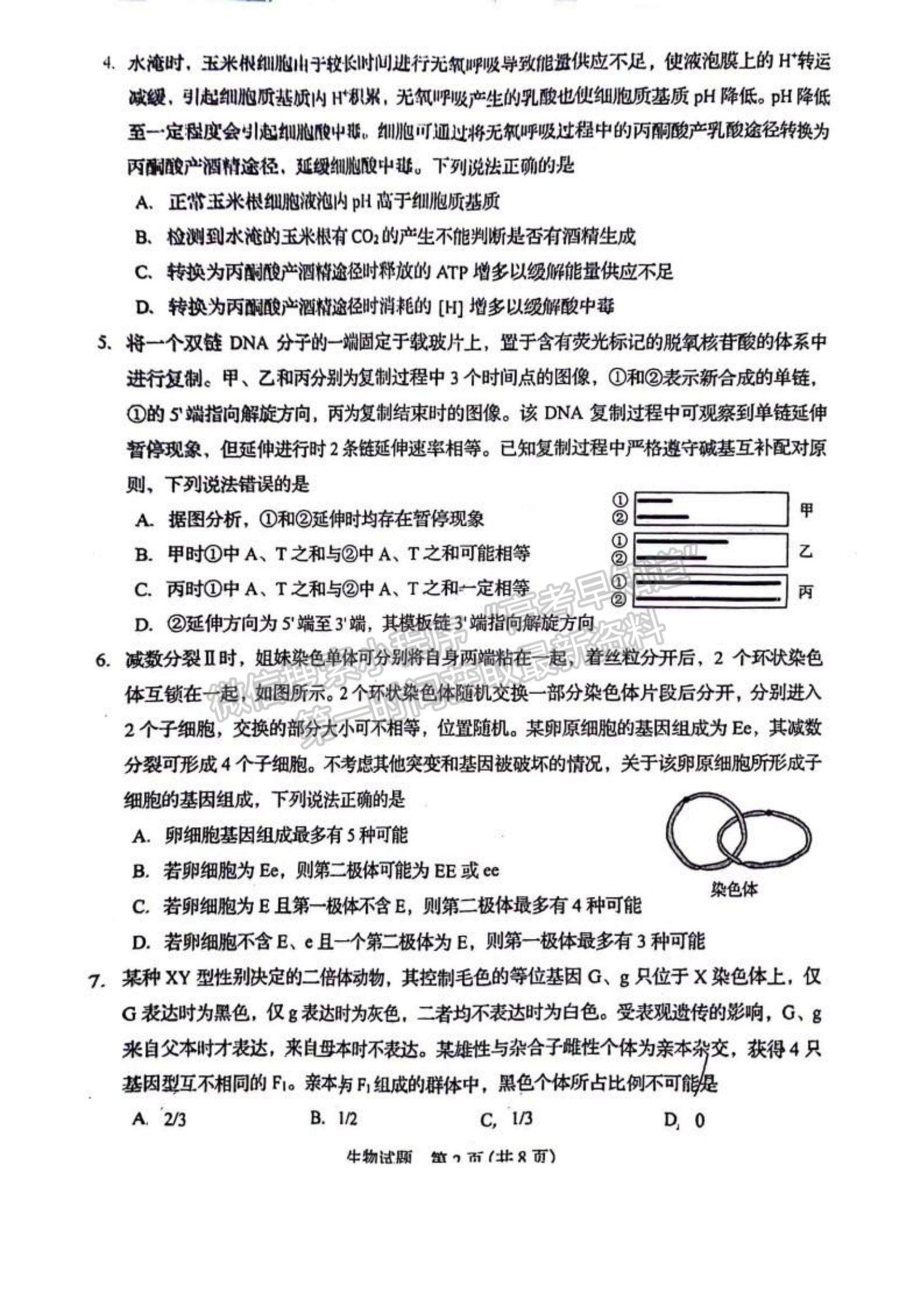 2023年山東省普通高中學業(yè)水平等級考試生物試題及參考答案