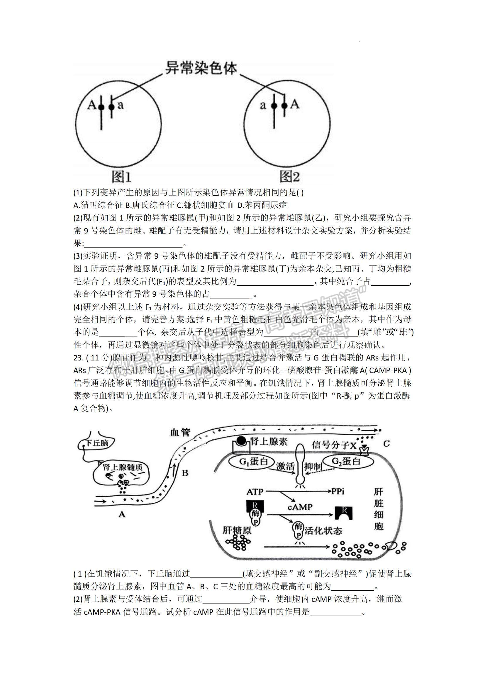 山東省青島市2022-2023學(xué)年高三上學(xué)期開(kāi)學(xué)調(diào)研生物試題