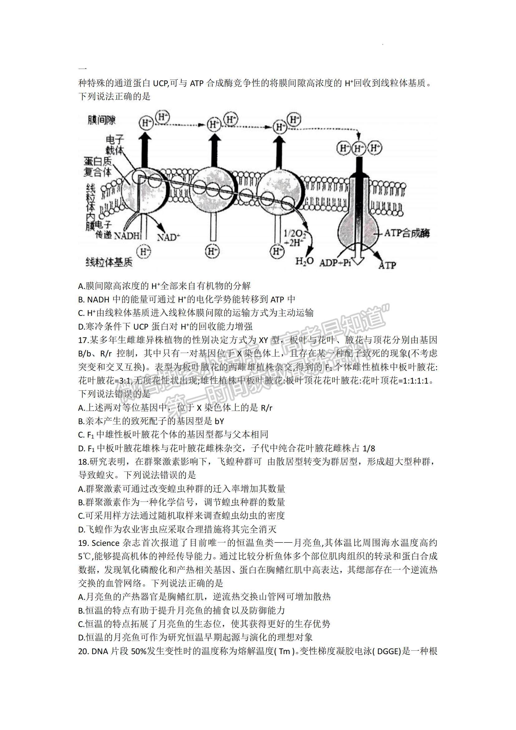 山東省青島市2022-2023學(xué)年高三上學(xué)期開(kāi)學(xué)調(diào)研生物試題