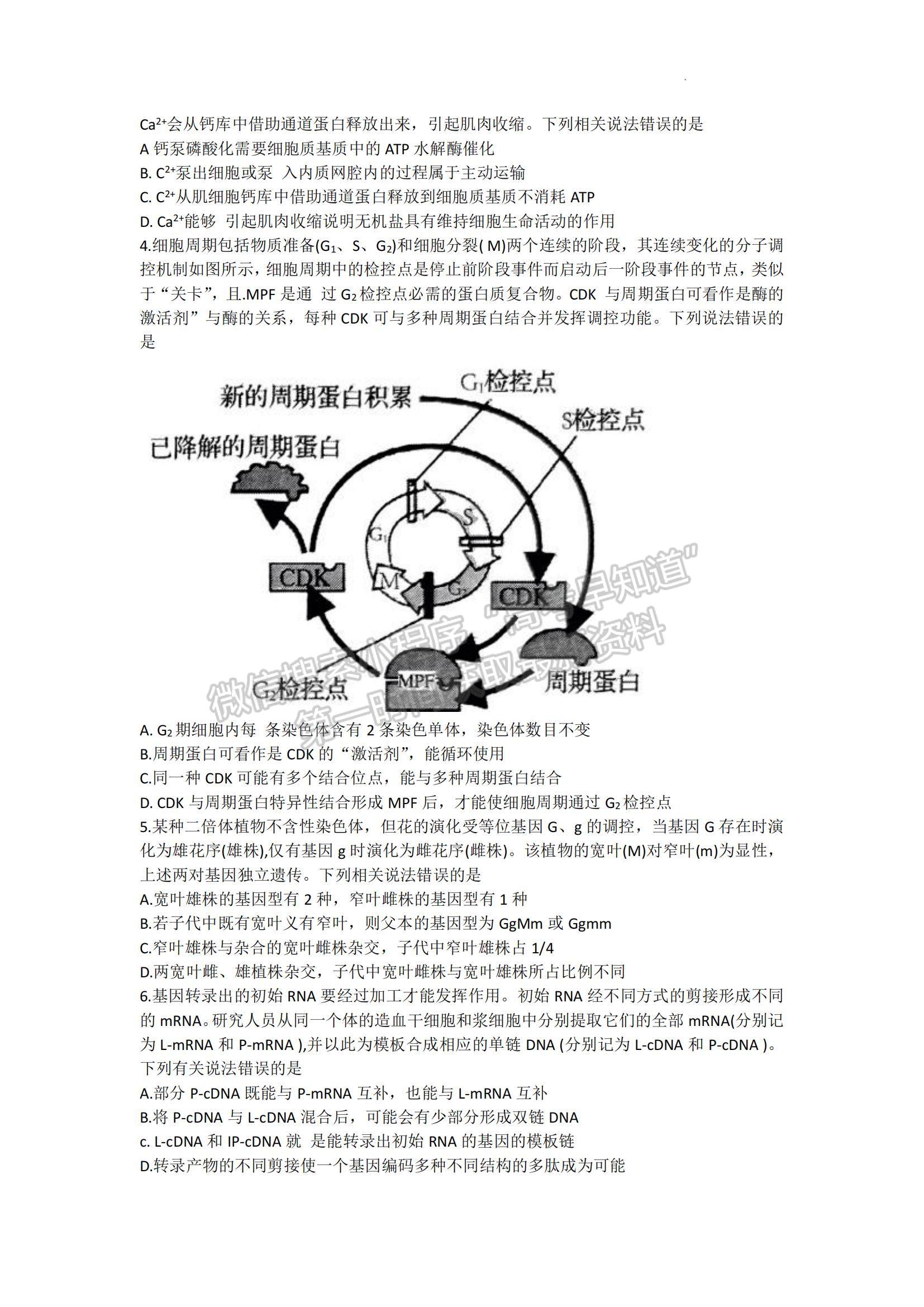 山東省青島市2022-2023學(xué)年高三上學(xué)期開學(xué)調(diào)研生物試題