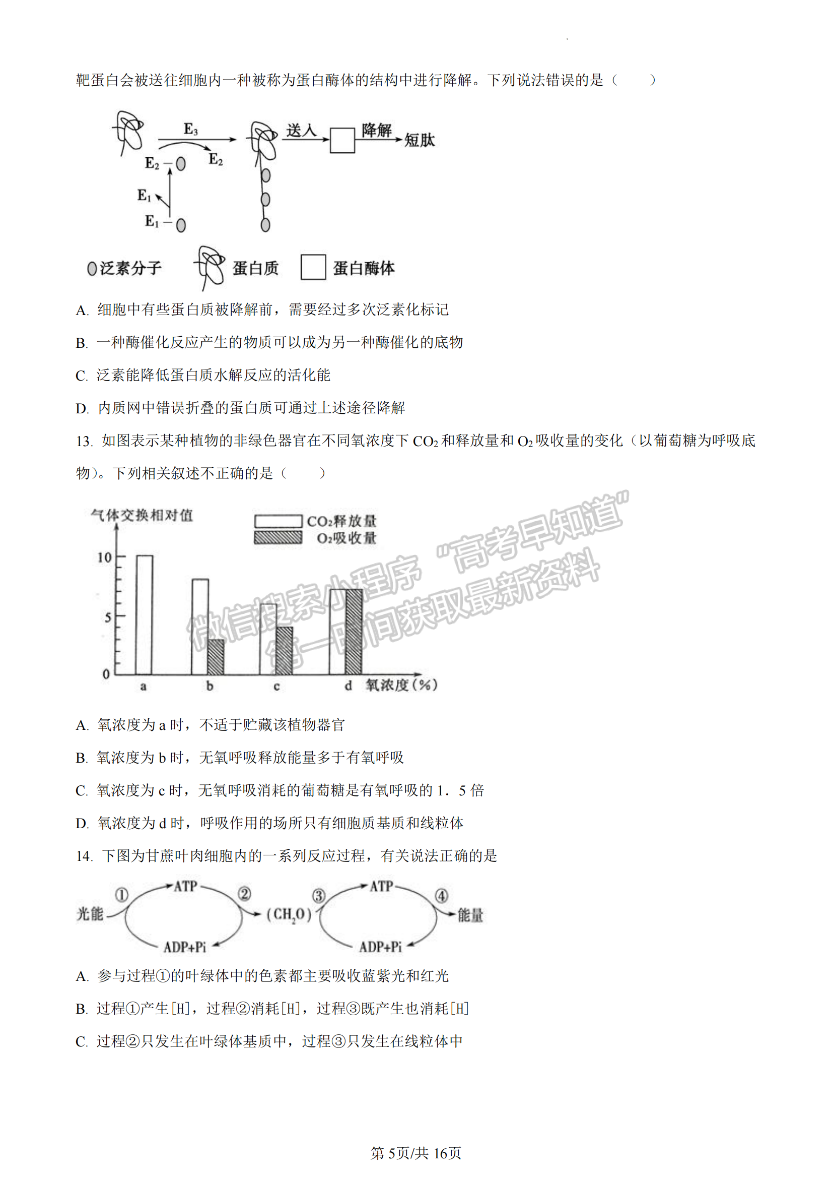 福建省廈門(mén)市一中2022-2023學(xué)年高二6月月考生物試題及答案