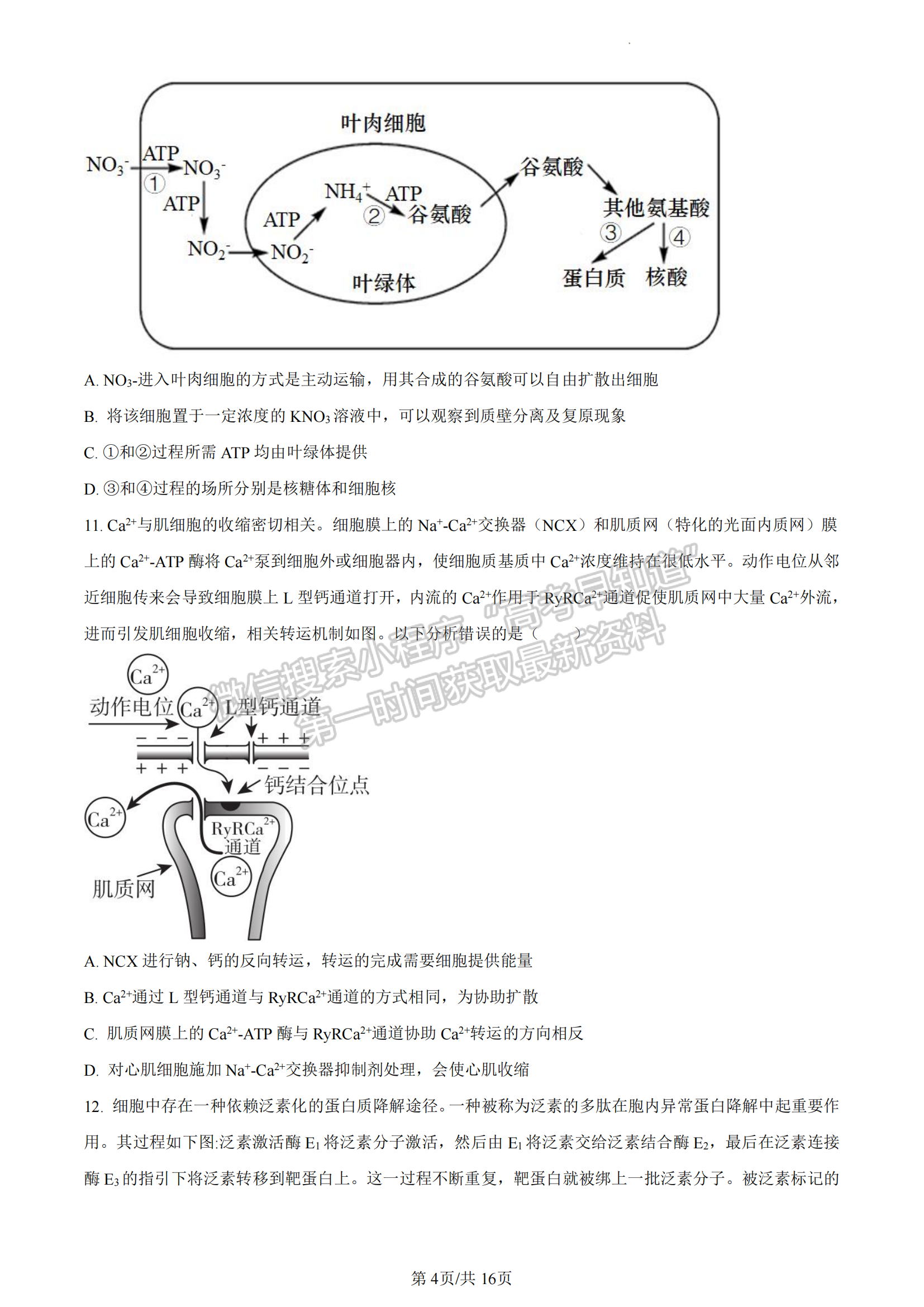 福建省廈門市一中2022-2023學(xué)年高二6月月考生物試題及答案