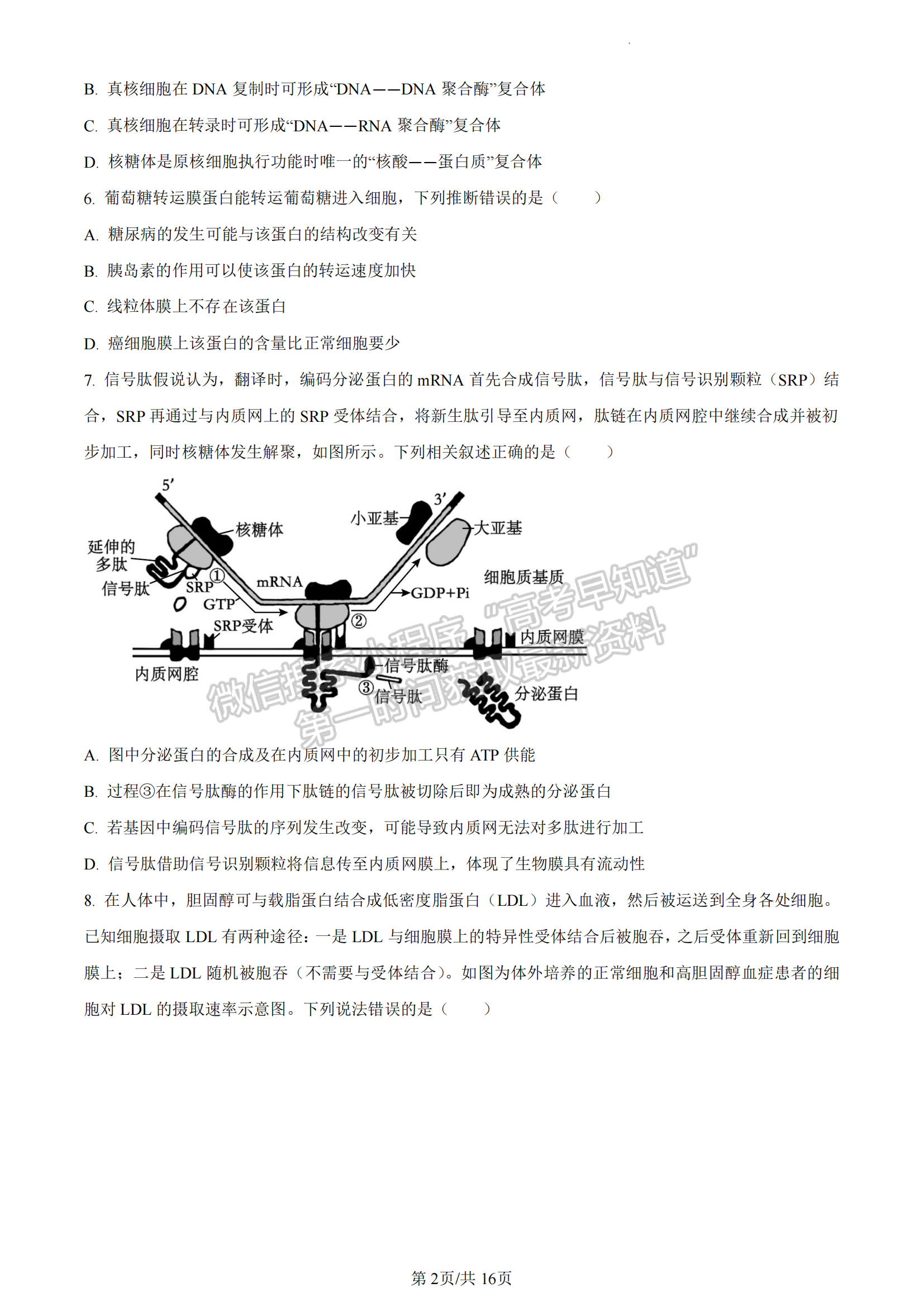 福建省廈門市一中2022-2023學(xué)年高二6月月考生物試題及答案