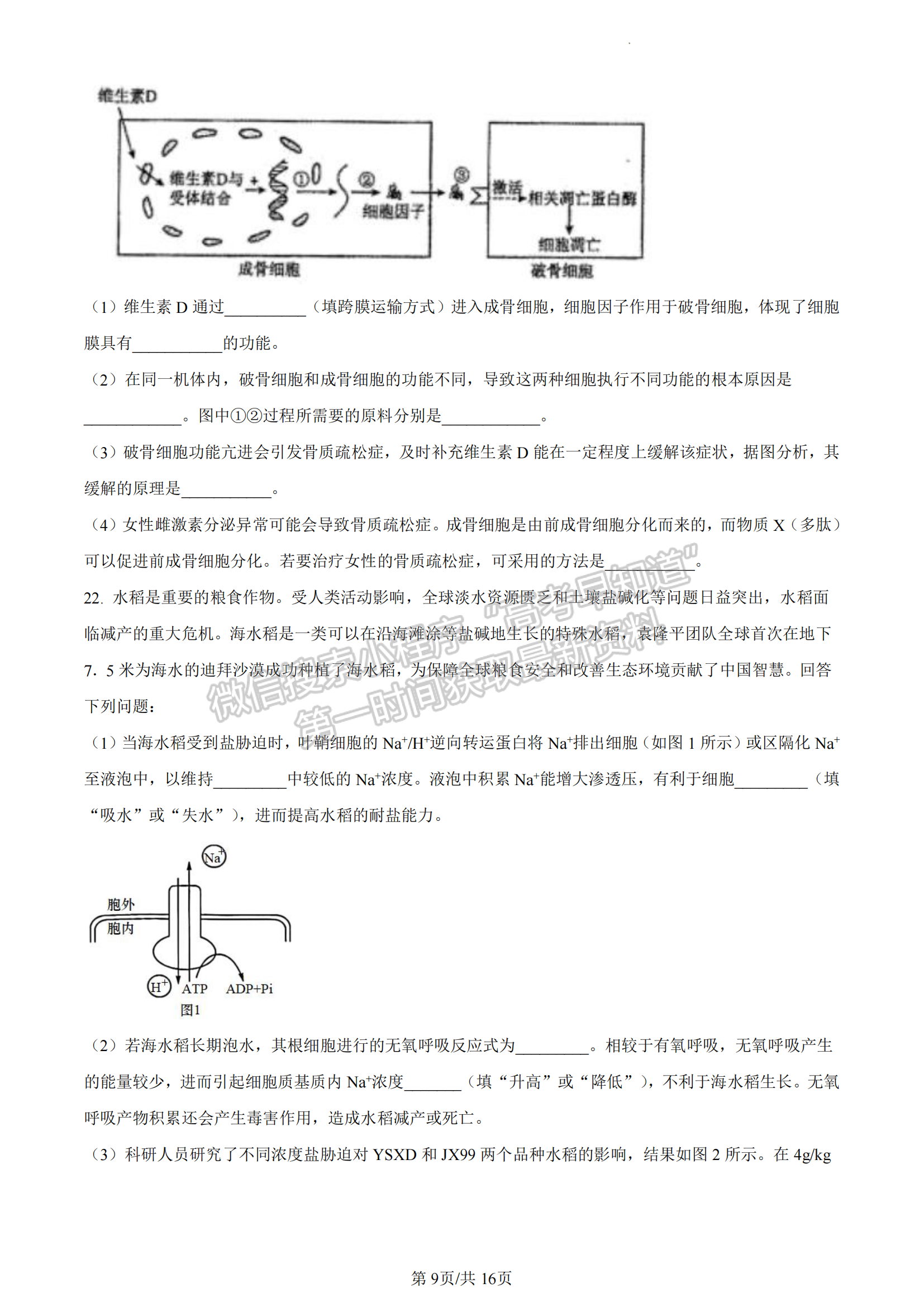 福建省廈門(mén)市一中2022-2023學(xué)年高二6月月考生物試題及答案