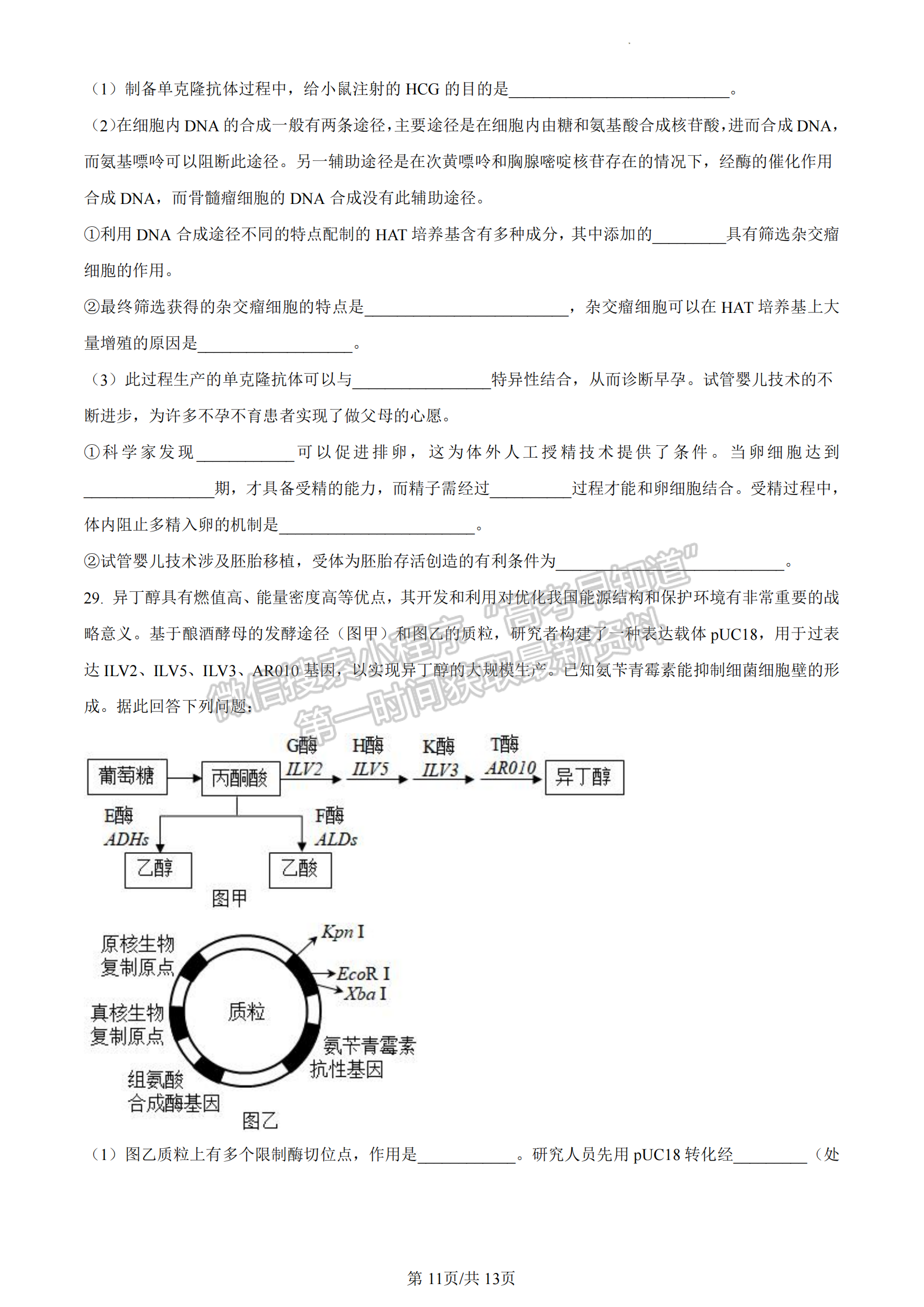 福建省泉州市德化一中、永安一中、漳平一中三校協(xié)作2022-2023學(xué)年高二下學(xué)期5月聯(lián)考生物試題及答案