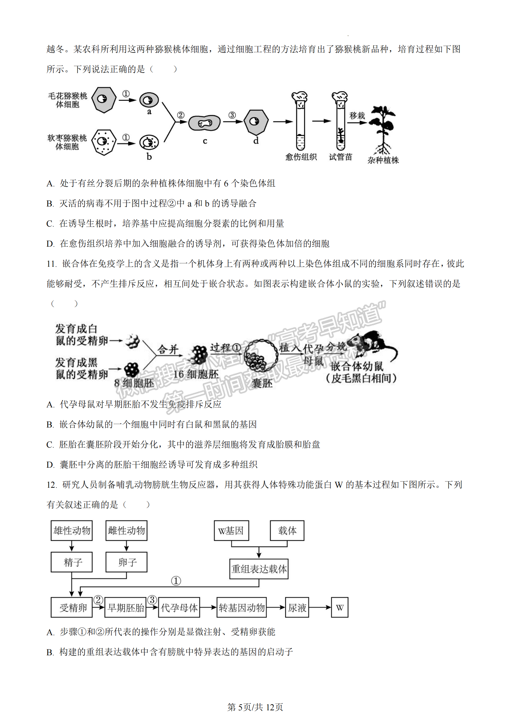 福建省福州市八縣一中聯(lián)考2022-2023學年高二7月期末生物試題及答案