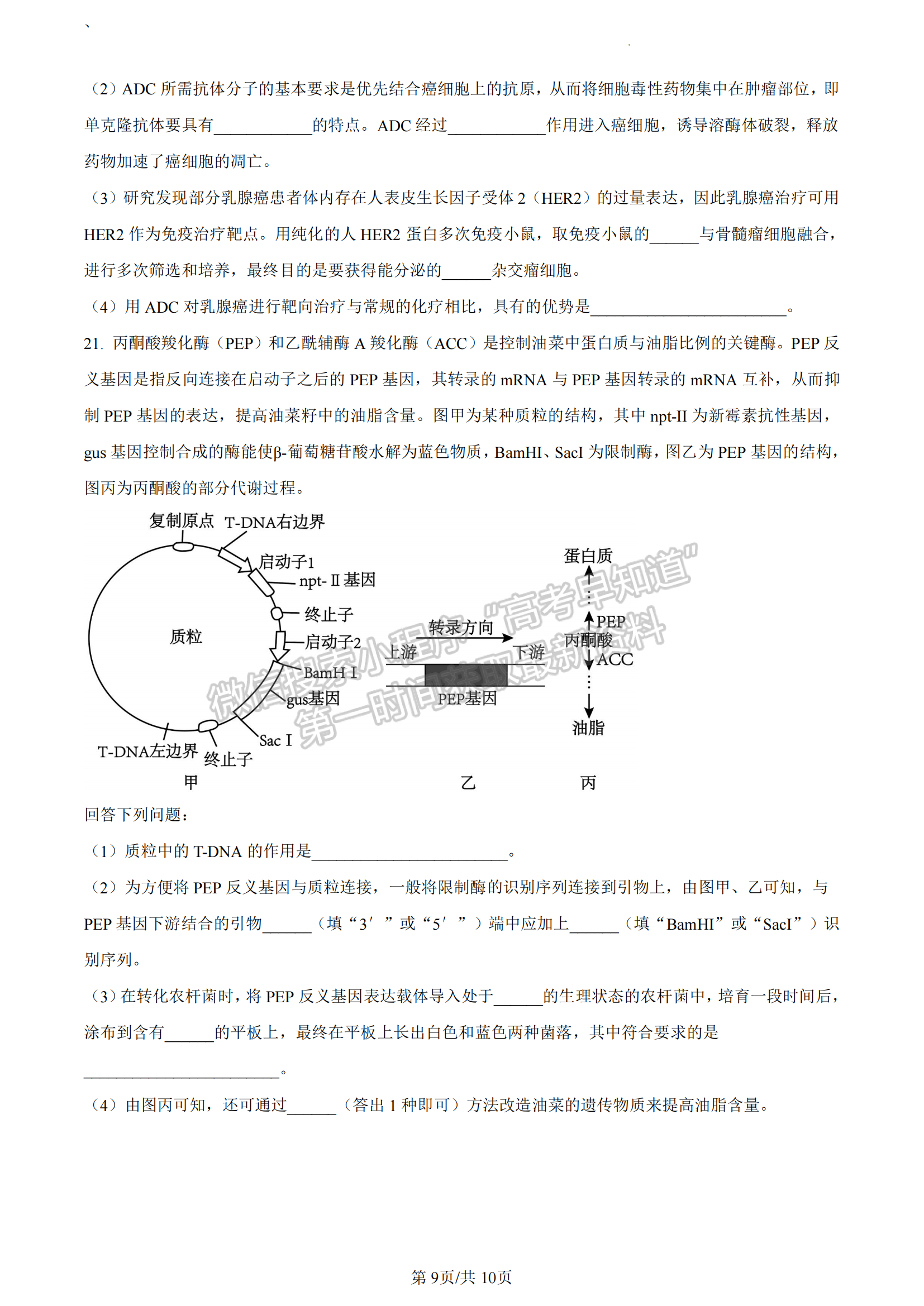 福建省寧德市2022-2023學(xué)年高二7月期末生物試題及答案