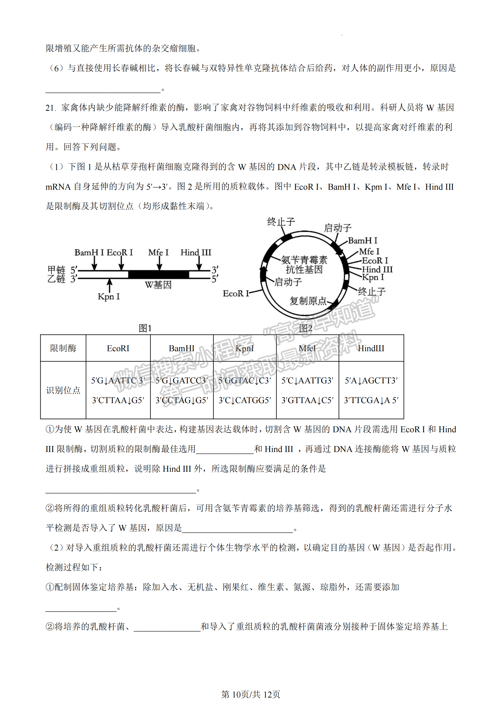 福建省福州市八縣一中聯(lián)考2022-2023學(xué)年高二7月期末生物試題及答案