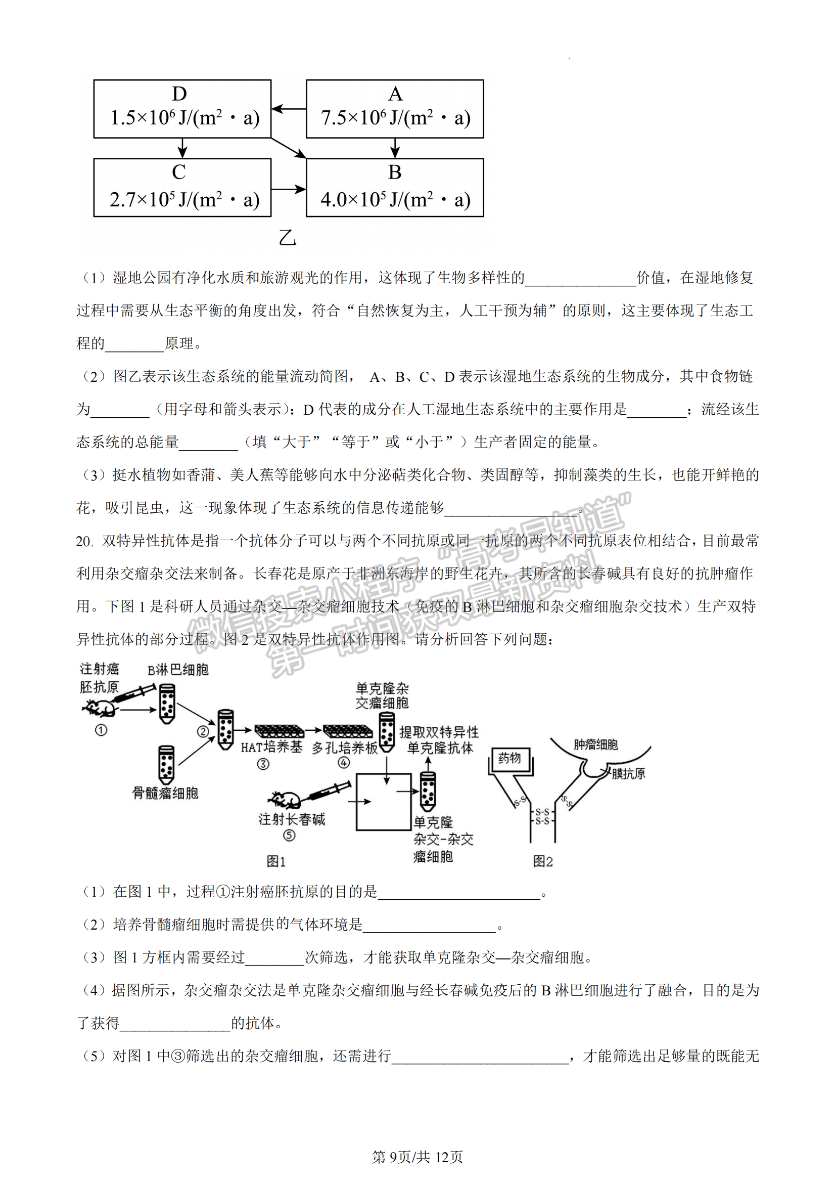 福建省福州市八縣一中聯(lián)考2022-2023學年高二7月期末生物試題及答案