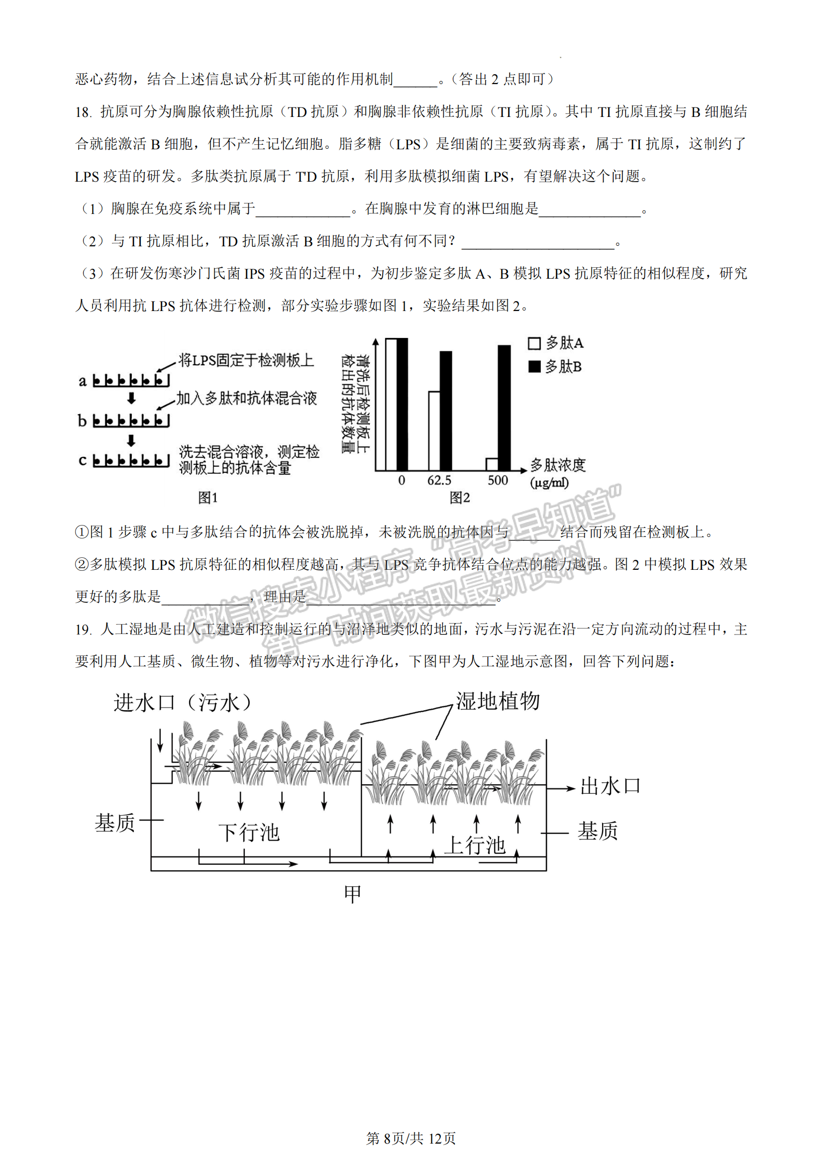 福建省福州市八縣一中聯(lián)考2022-2023學年高二7月期末生物試題及答案