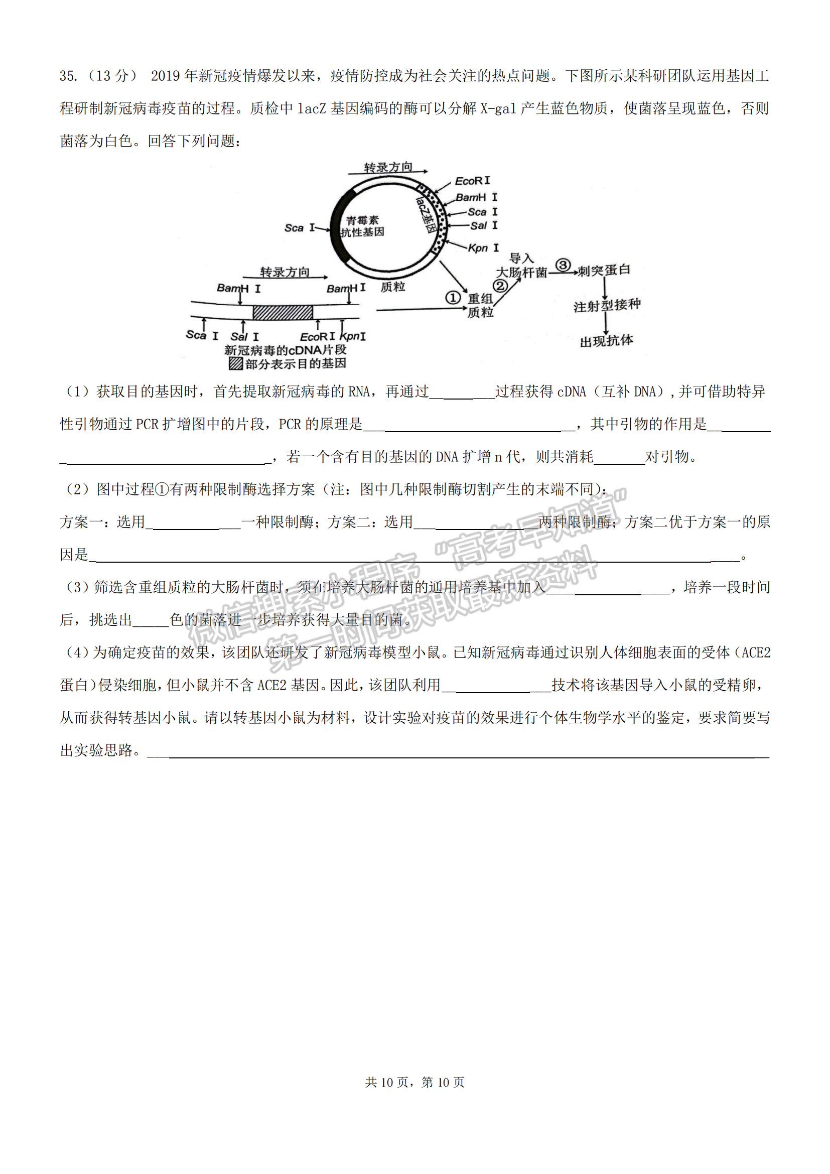 福建三明市第一中學2022-2023學年高二下學期期中考試生物試題及答案