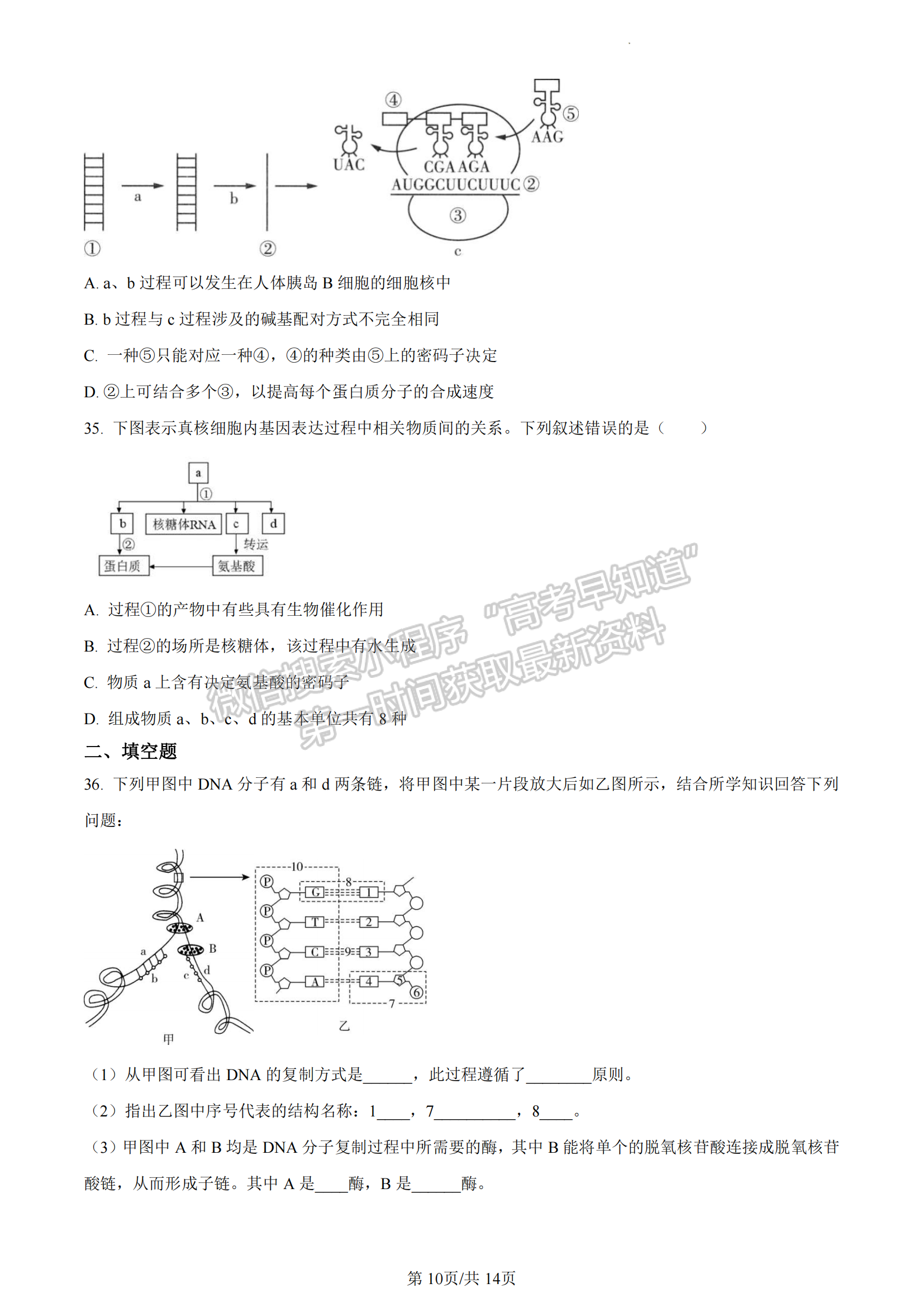 福建省三明市五縣聯(lián)合質(zhì)檢2022-2023學(xué)年高一下學(xué)期期中生物試題及答案