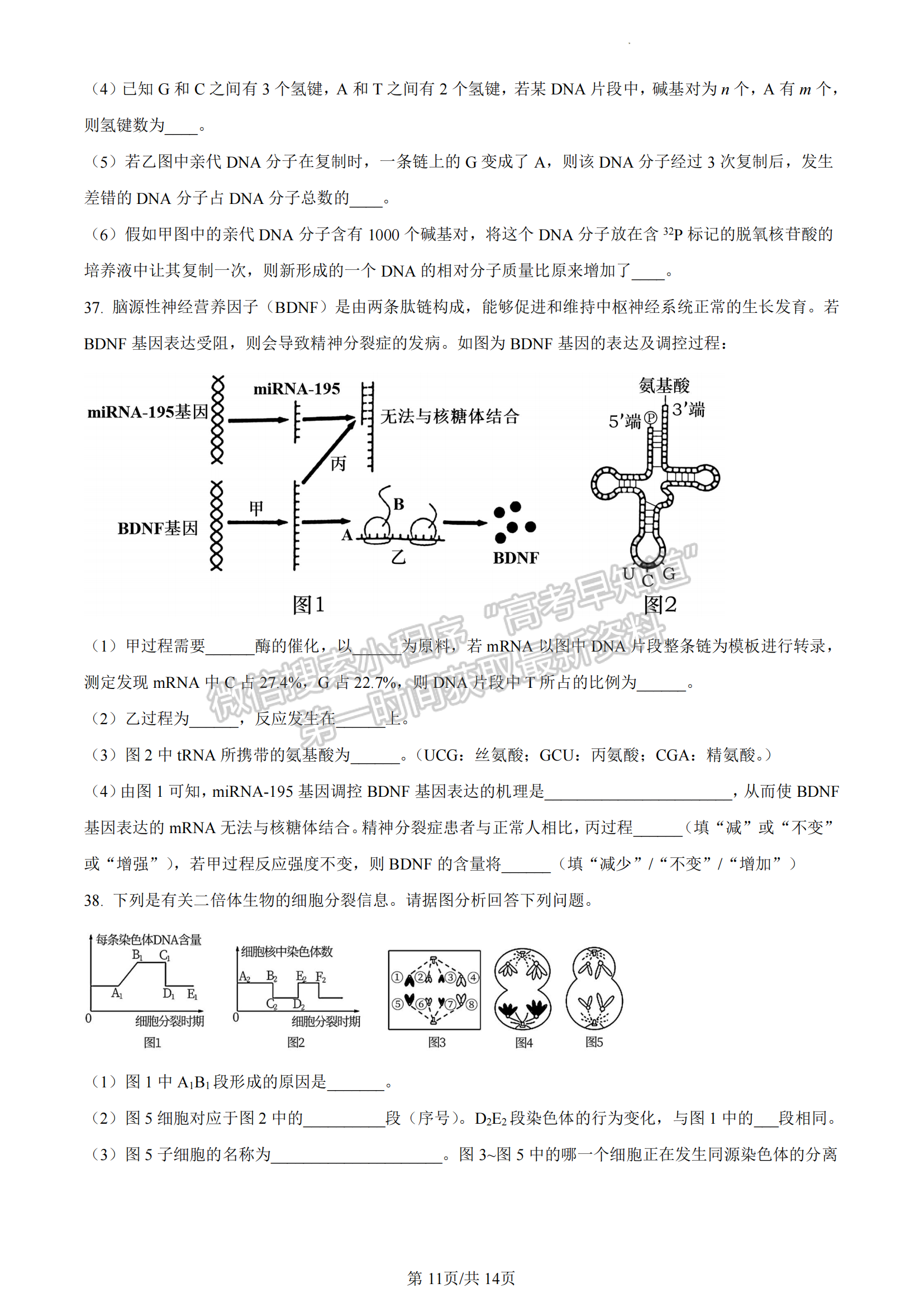 福建省三明市五縣聯(lián)合質(zhì)檢2022-2023學(xué)年高一下學(xué)期期中生物試題及答案