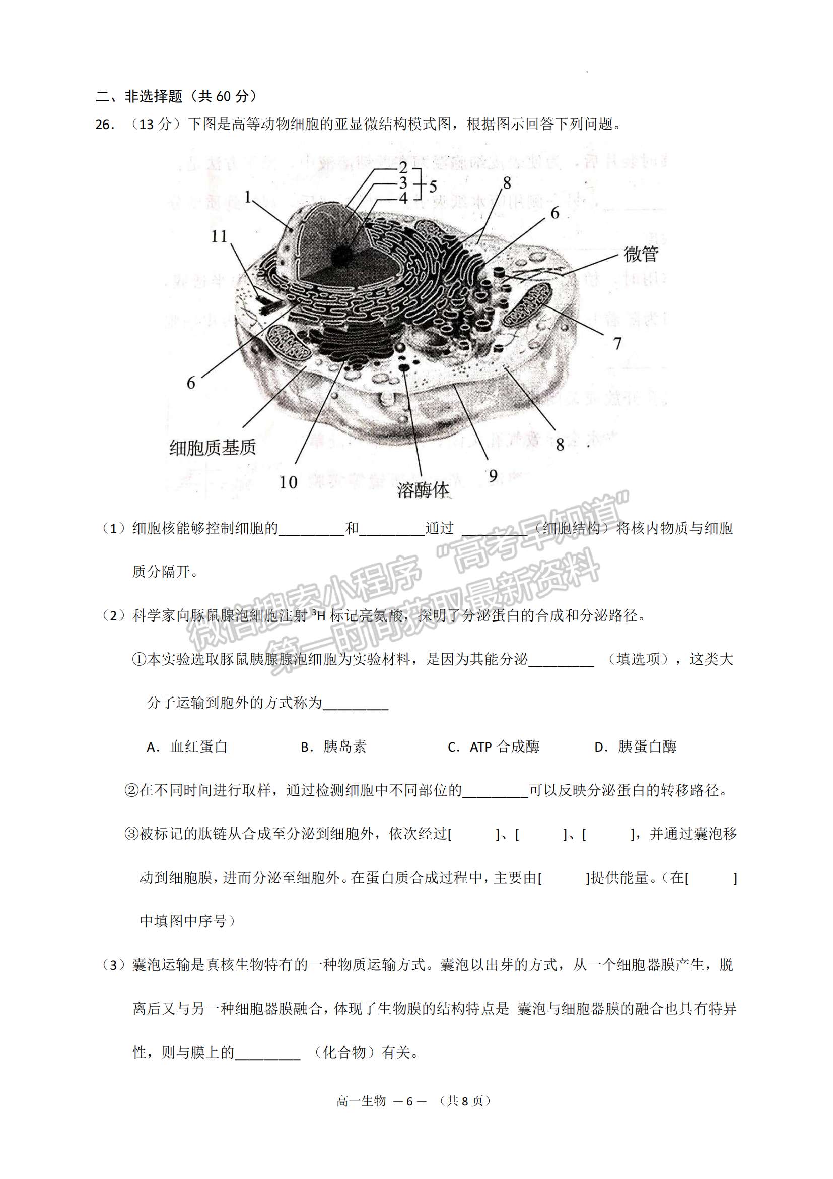 2022—2023學(xué)年第一學(xué)期福州市高一期末質(zhì)量抽測生物試題及答案