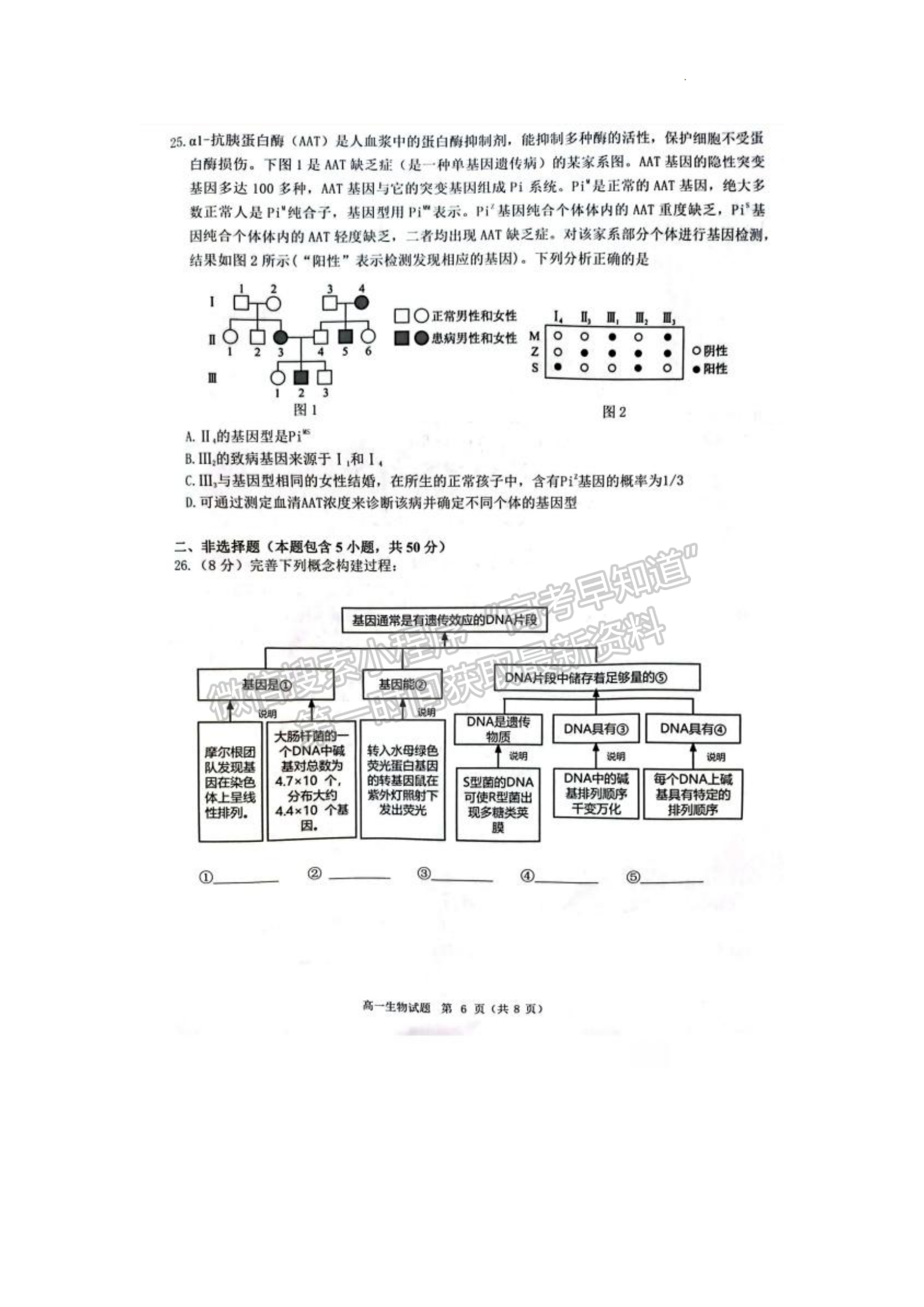 福建省泉州市2022-2023學(xué)年高一下學(xué)期7月期末生物試題及答案