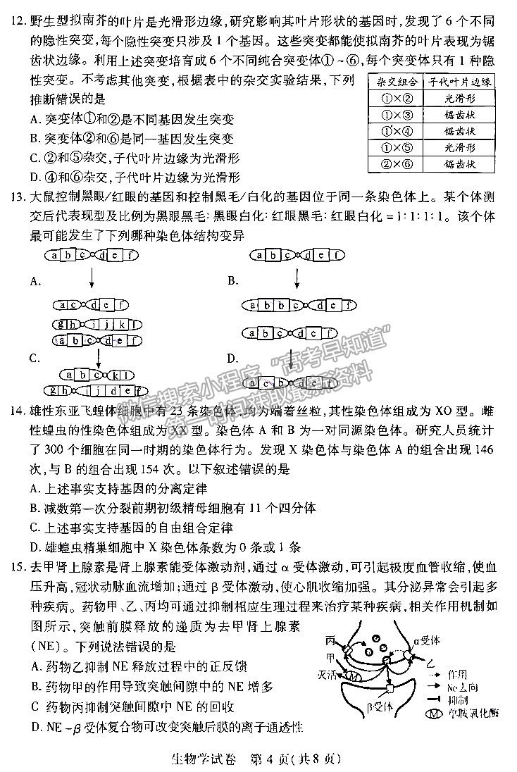 河南省2024屆高三起點(diǎn)考試生物試卷及參考答案