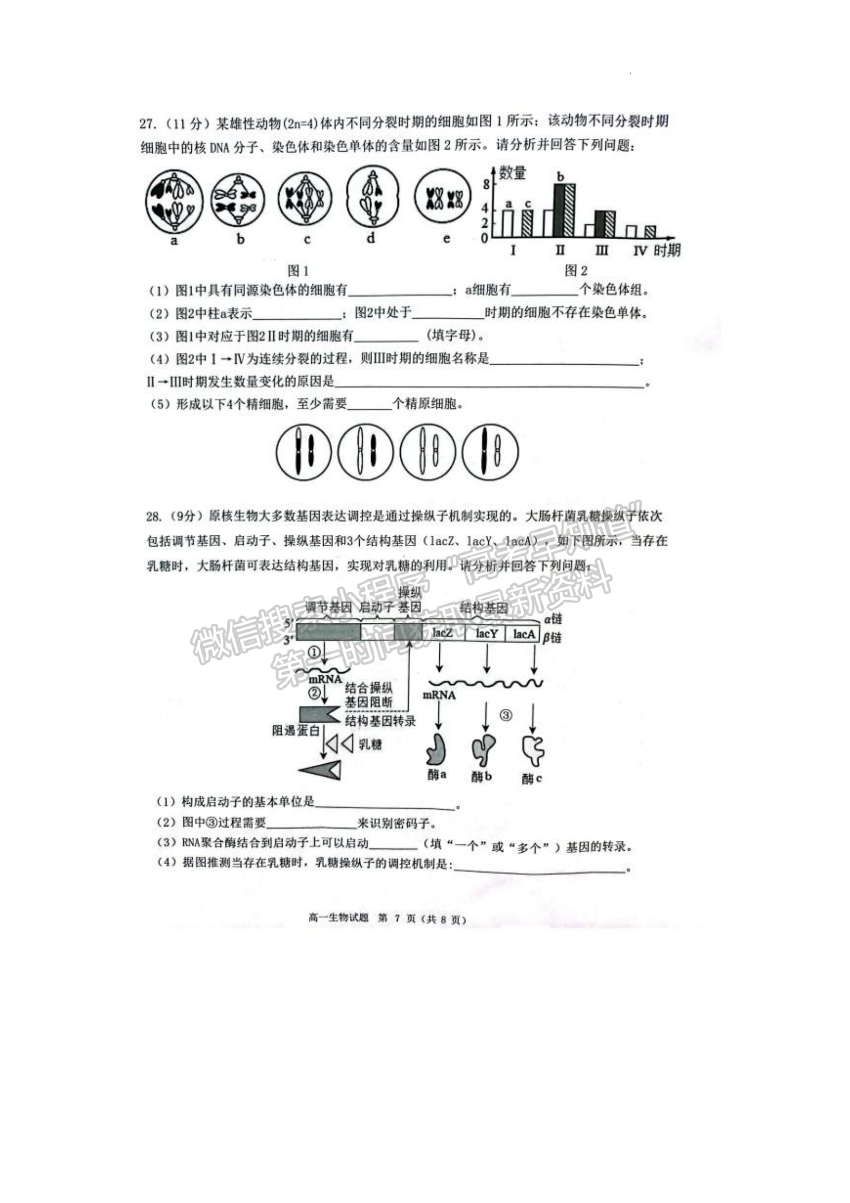 福建省泉州市2022-2023學(xué)年高一下學(xué)期7月期末生物試題及答案