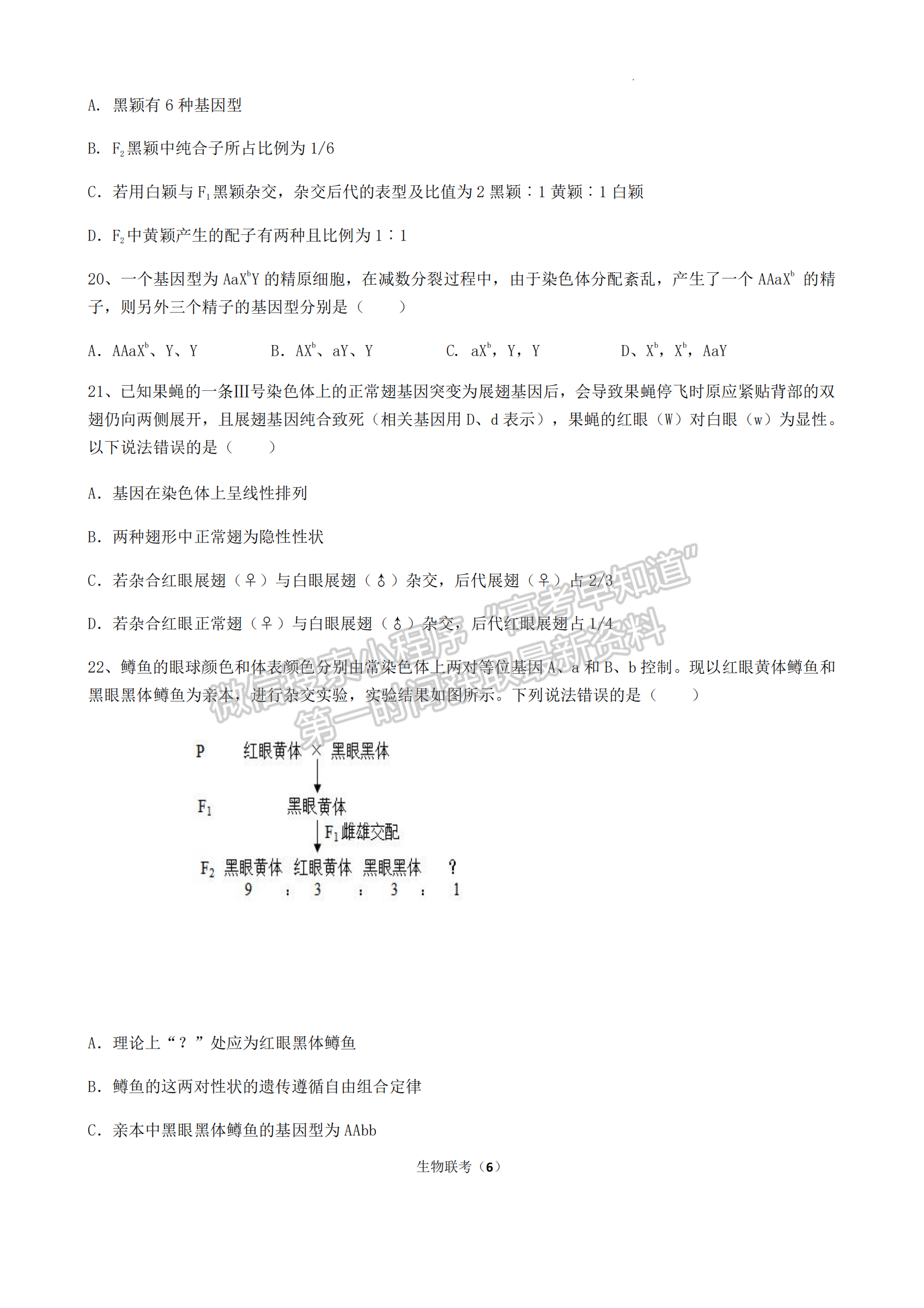 福建省泉州市三校2022-2023學(xué)年高一下學(xué)期4月期中聯(lián)考生物試題及答案