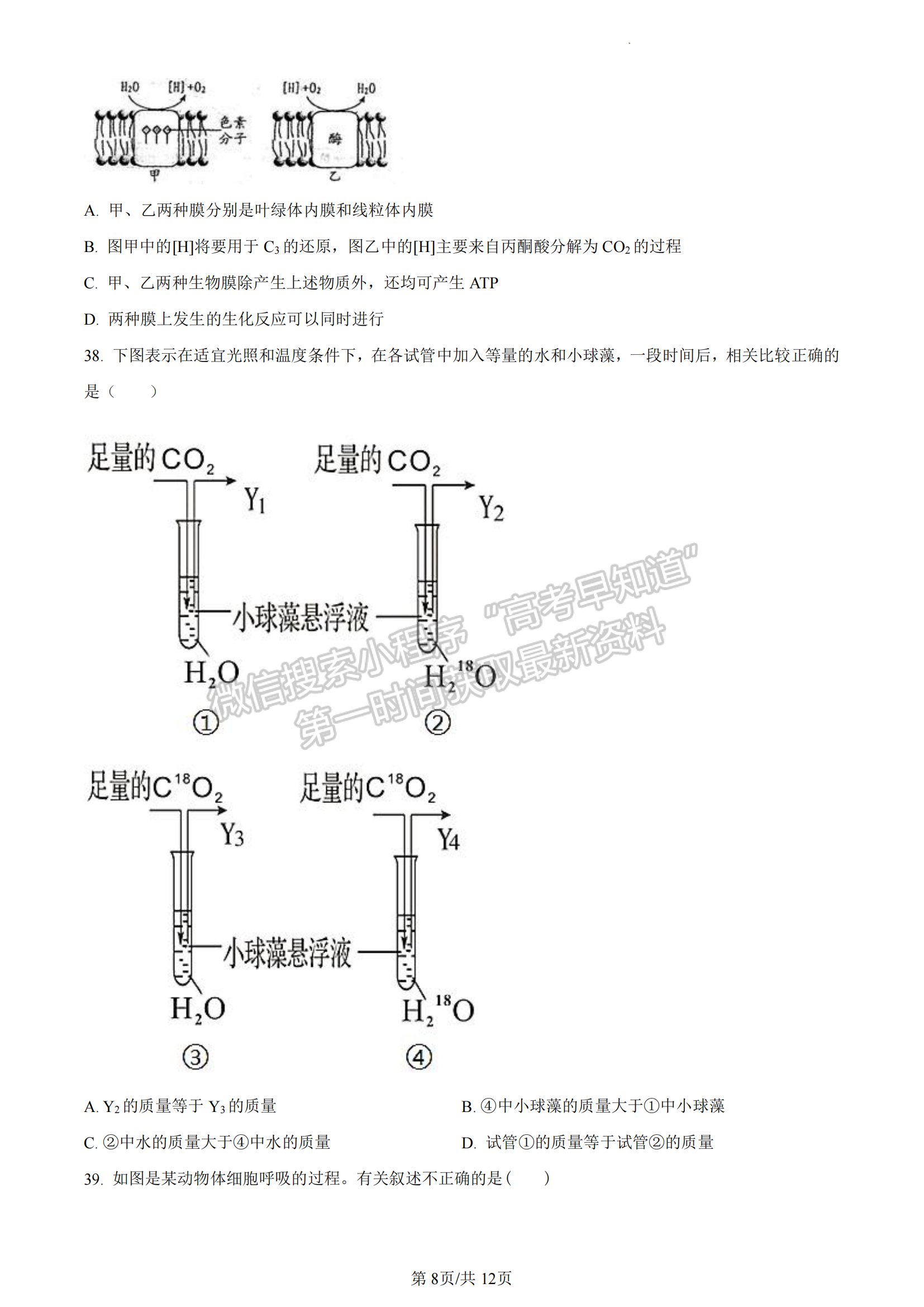 福建省厦门市2022-2023学年高一上学期期末质检生物试题（A卷）及答案