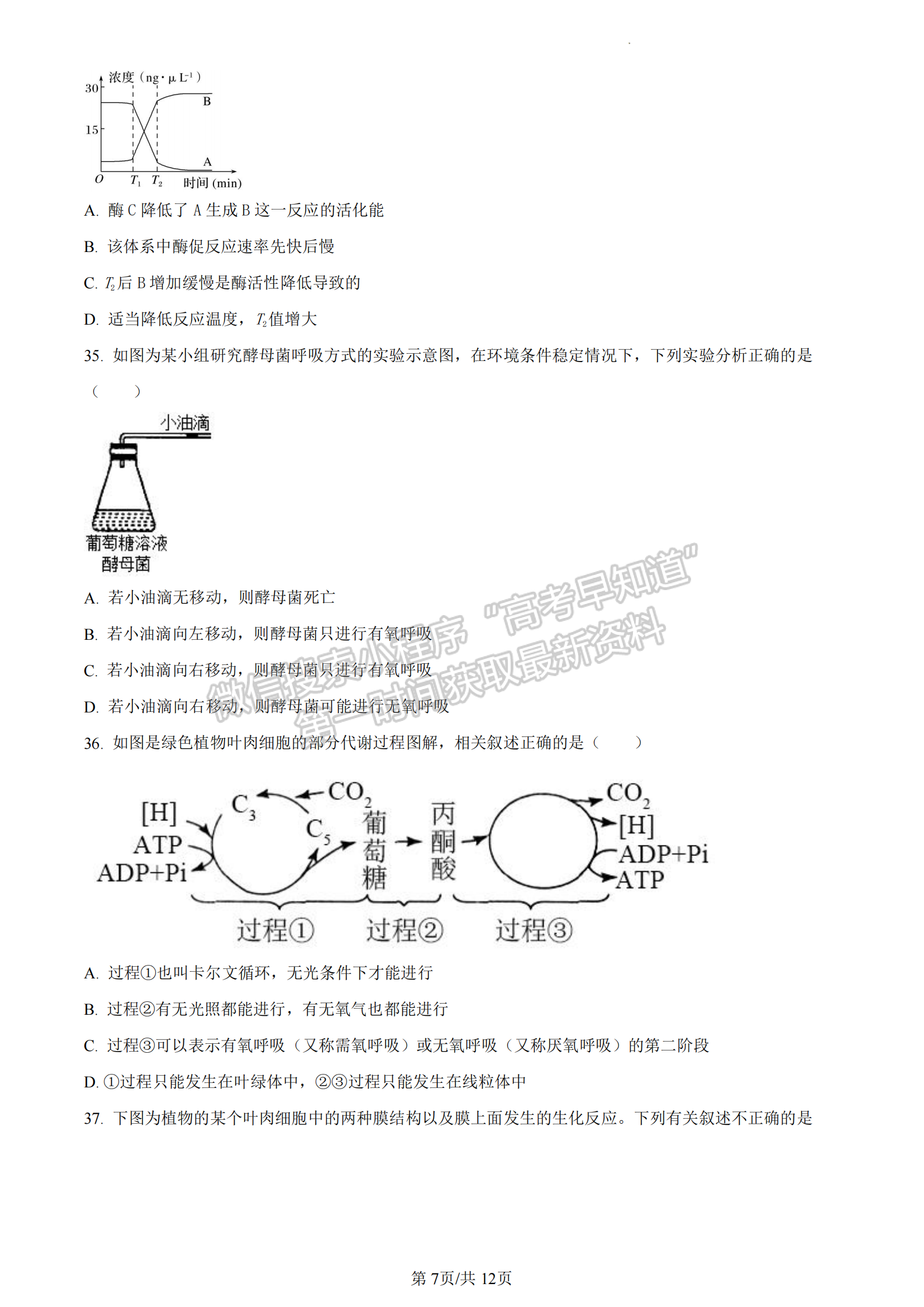 福建省厦门市2022-2023学年高一上学期期末质检生物试题（A卷）及答案