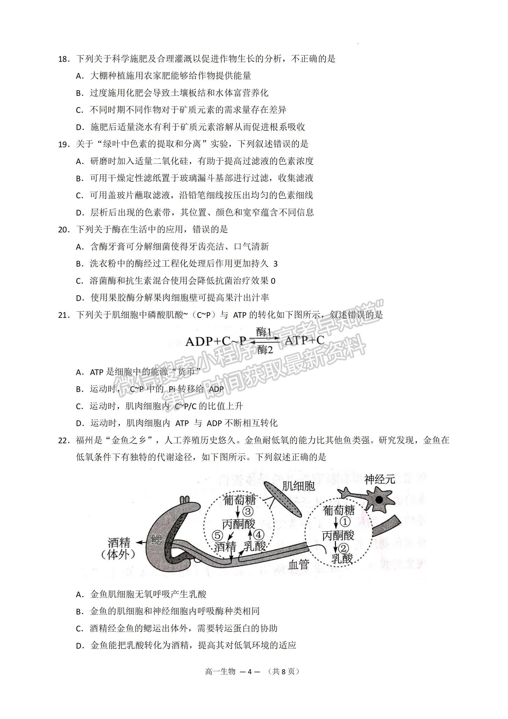 2022—2023學(xué)年第一學(xué)期福州市高一期末質(zhì)量抽測(cè)生物試題及答案