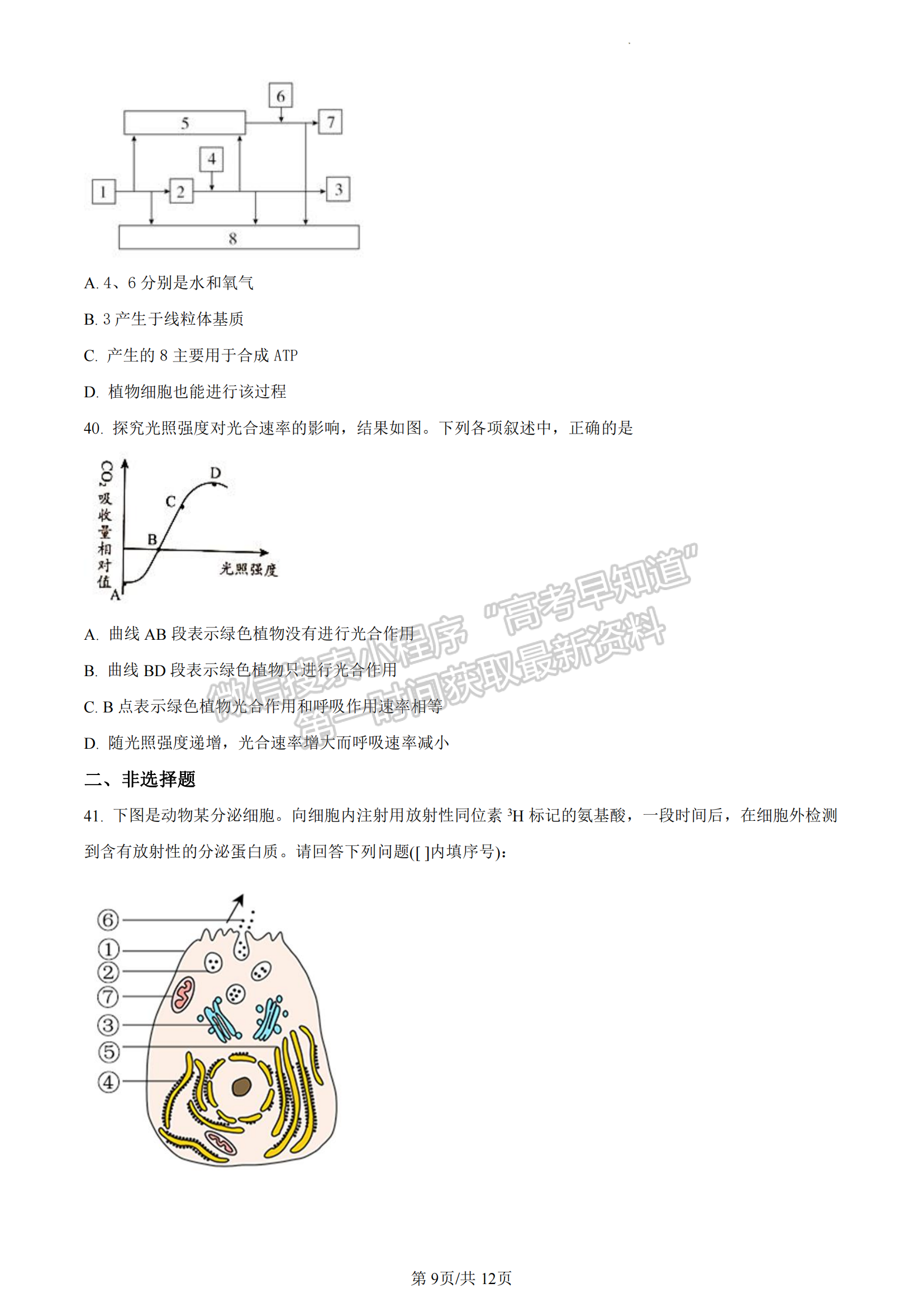 福建省厦门市2022-2023学年高一上学期期末质检生物试题（A卷）及答案