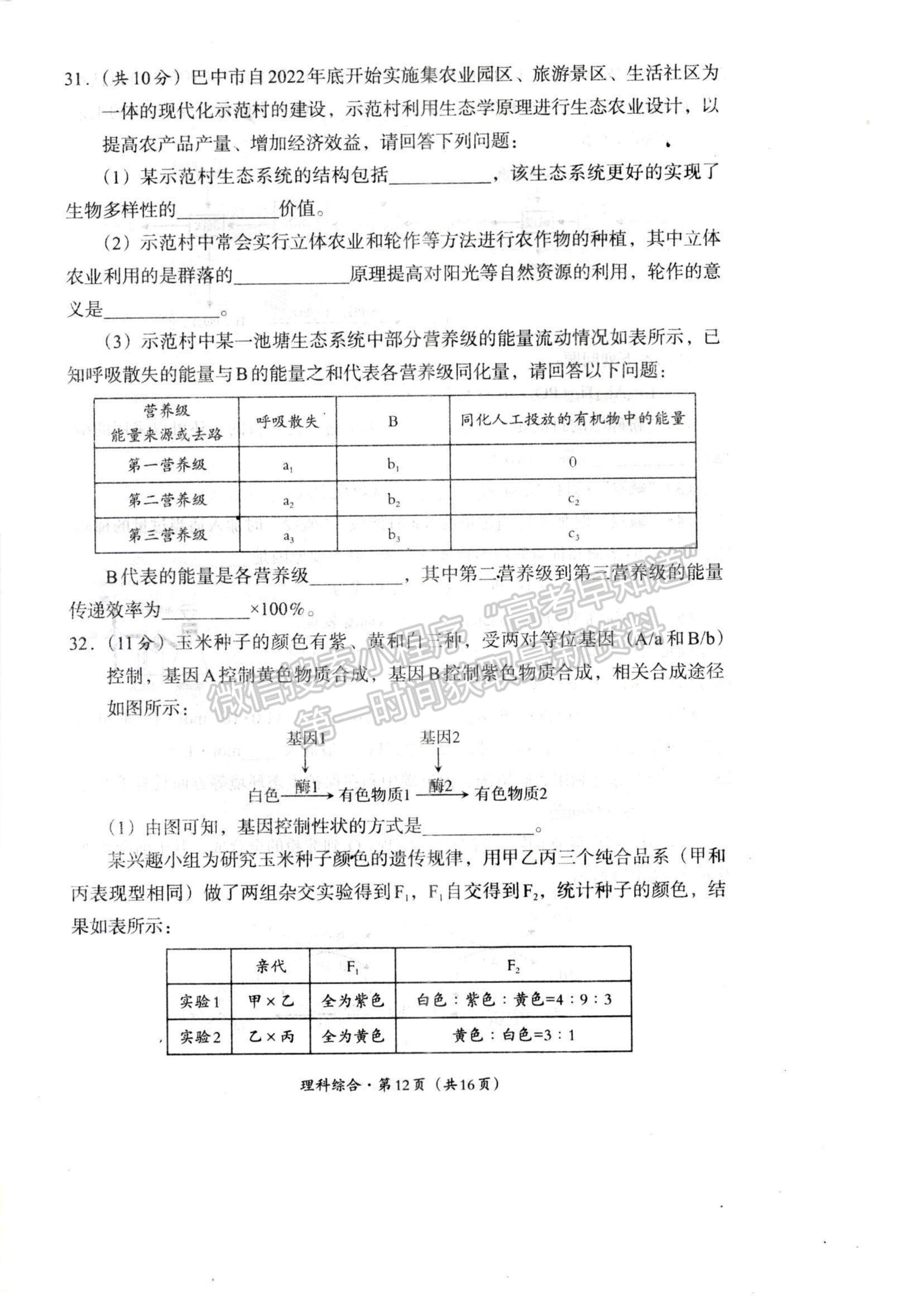 2024四川巴中市普通高中2021級“零診”考試?yán)砜凭C合試卷及答案