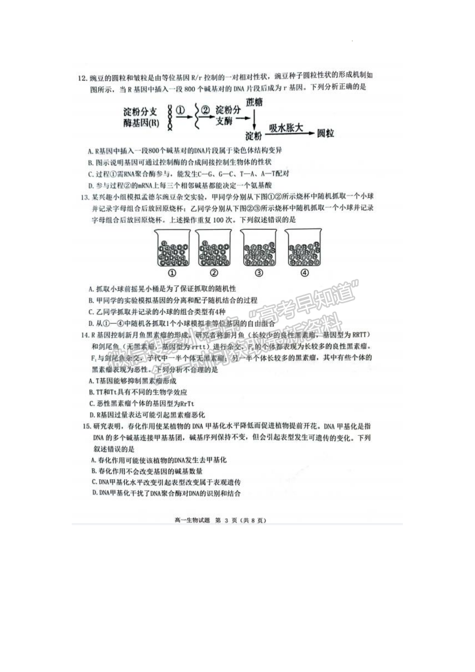 福建省泉州市2022-2023學(xué)年高一下學(xué)期7月期末生物試題及答案