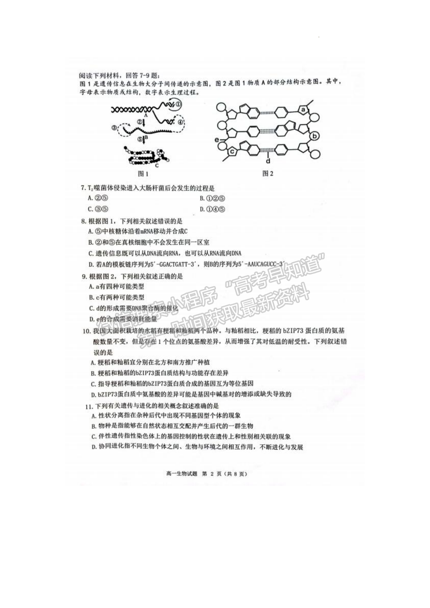 福建省泉州市2022-2023學(xué)年高一下學(xué)期7月期末生物試題及答案