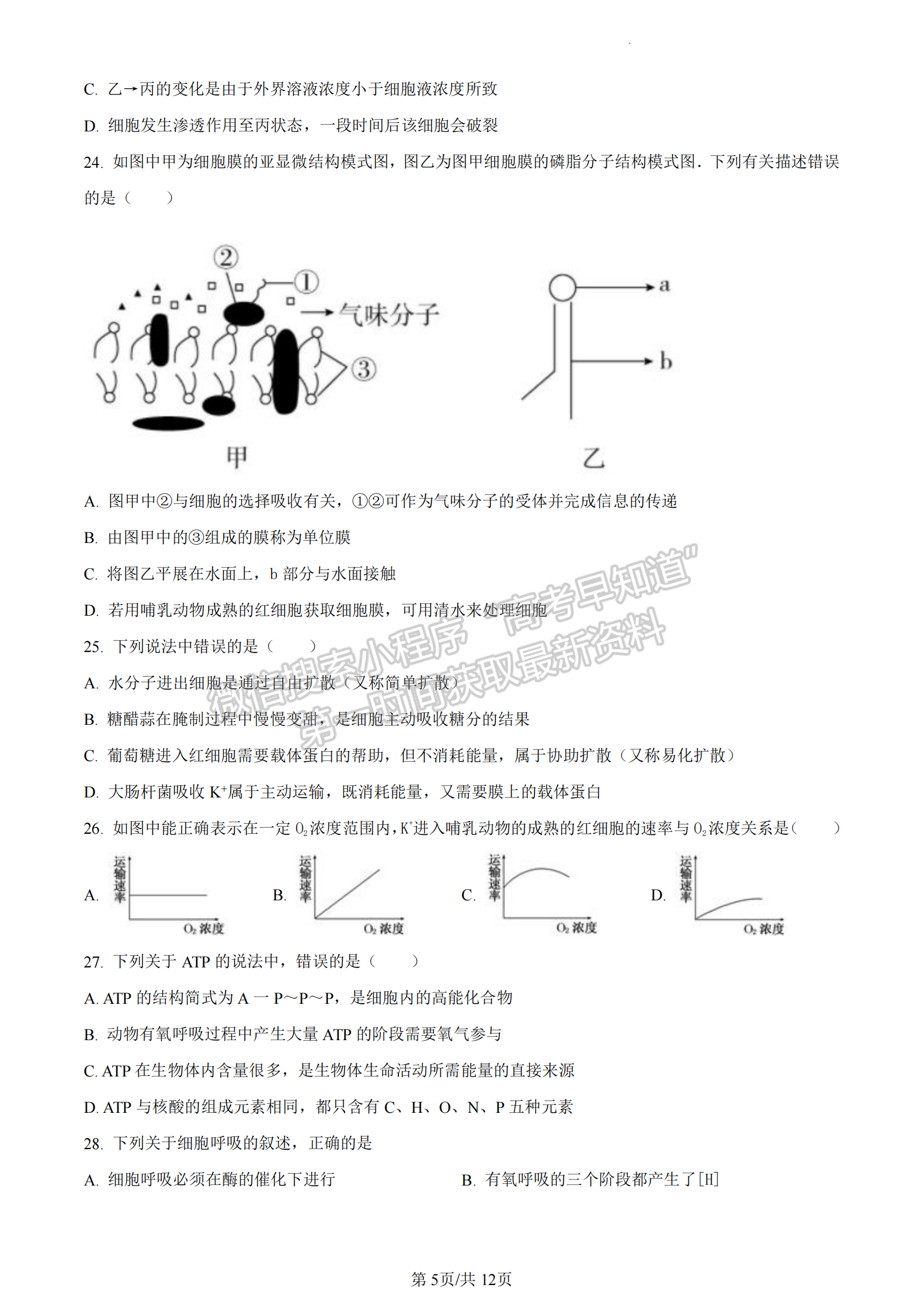 福建省厦门市2022-2023学年高一上学期期末质检生物试题（A卷）及答案