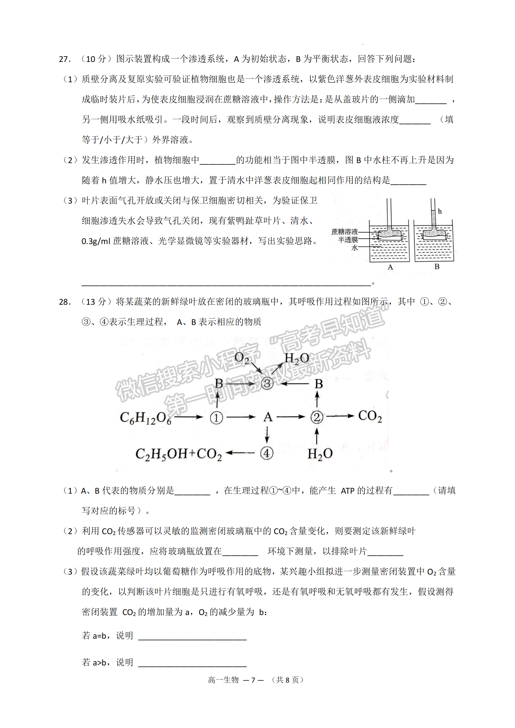 2022—2023學(xué)年第一學(xué)期福州市高一期末質(zhì)量抽測生物試題及答案