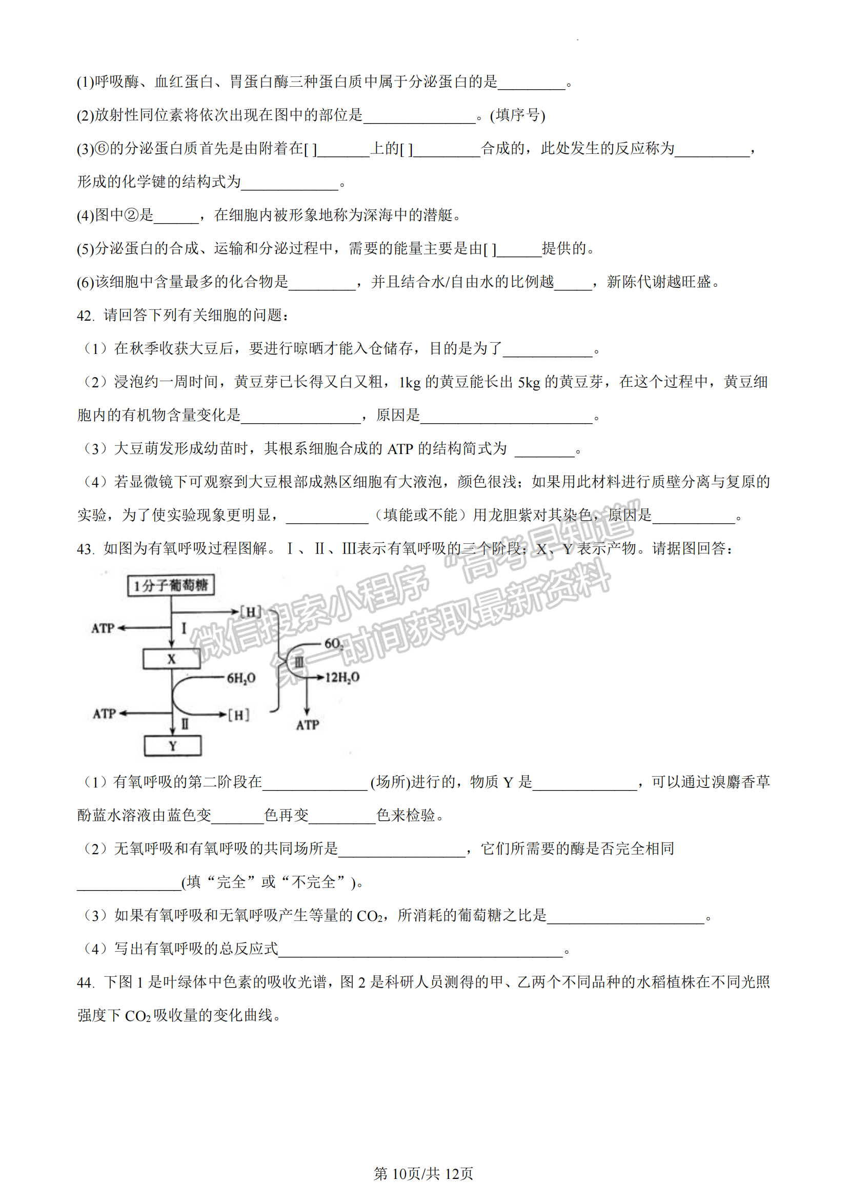 福建省廈門(mén)市2022-2023學(xué)年高一上學(xué)期期末質(zhì)檢生物試題（A卷）及答案