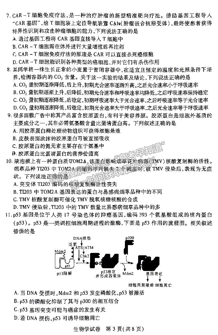 河南省2024屆高三起點考試生物試卷及參考答案