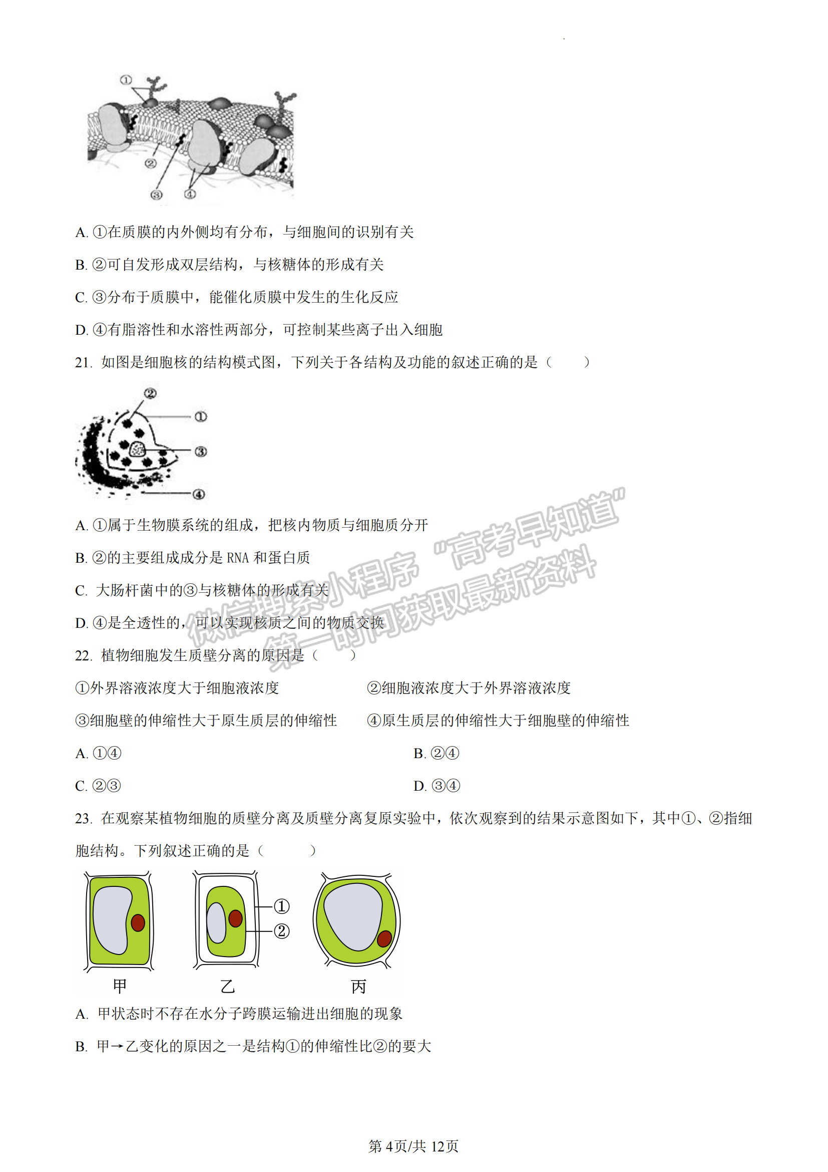 福建省廈門市2022-2023學(xué)年高一上學(xué)期期末質(zhì)檢生物試題（A卷）及答案