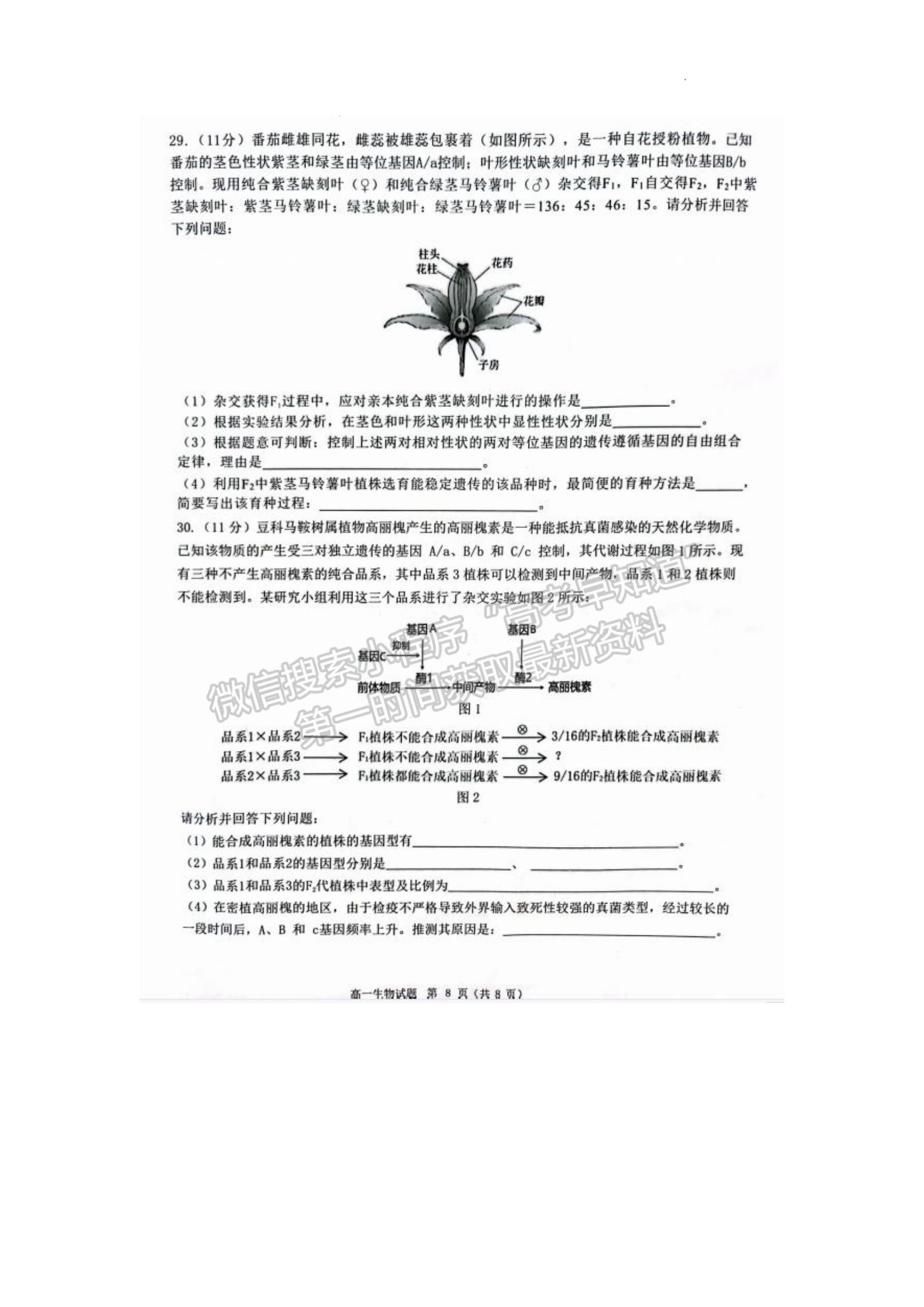 福建省泉州市2022-2023學(xué)年高一下學(xué)期7月期末生物試題及答案