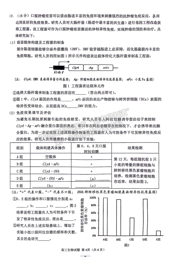 2024泉州一檢生物試卷及參考答案