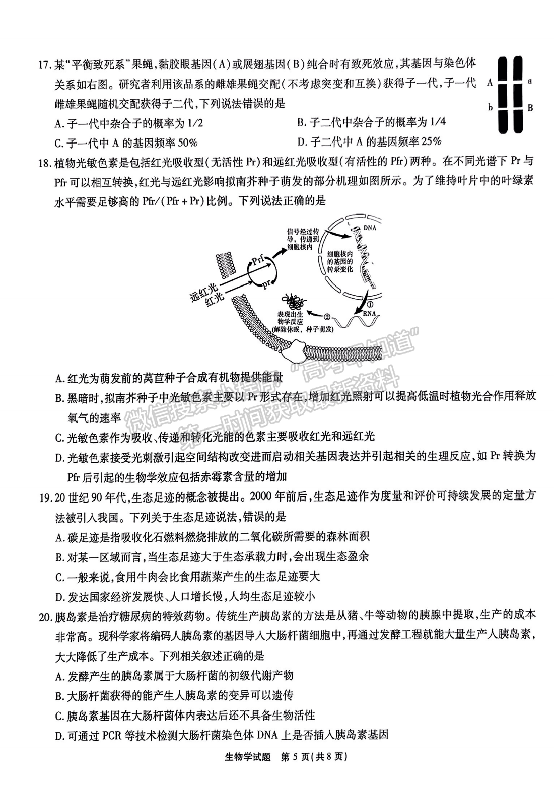 2024安徽江淮十校高三第一次聯(lián)考生物試卷及參考答案