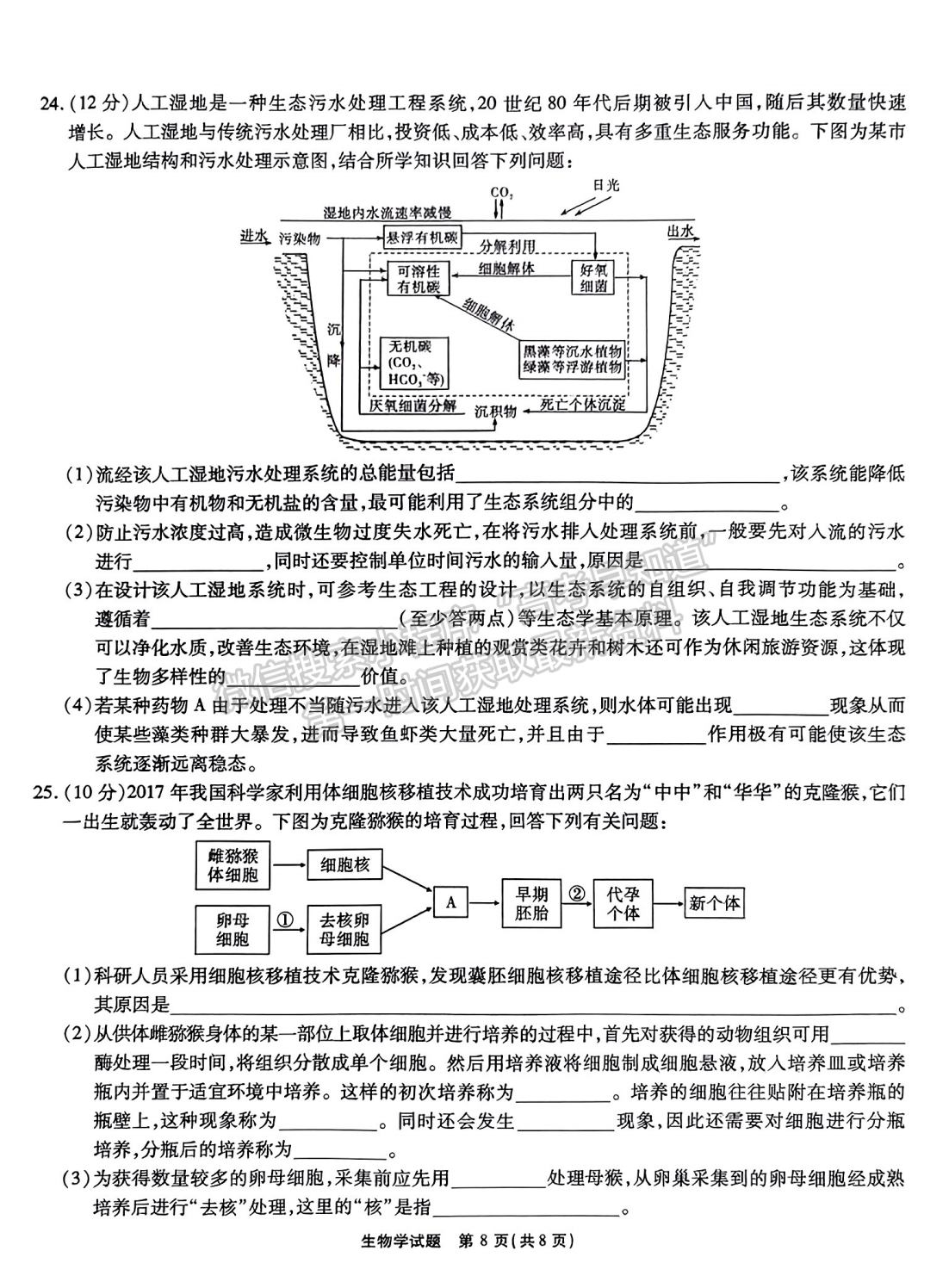 2024安徽江淮十校高三第一次聯(lián)考生物試卷及參考答案